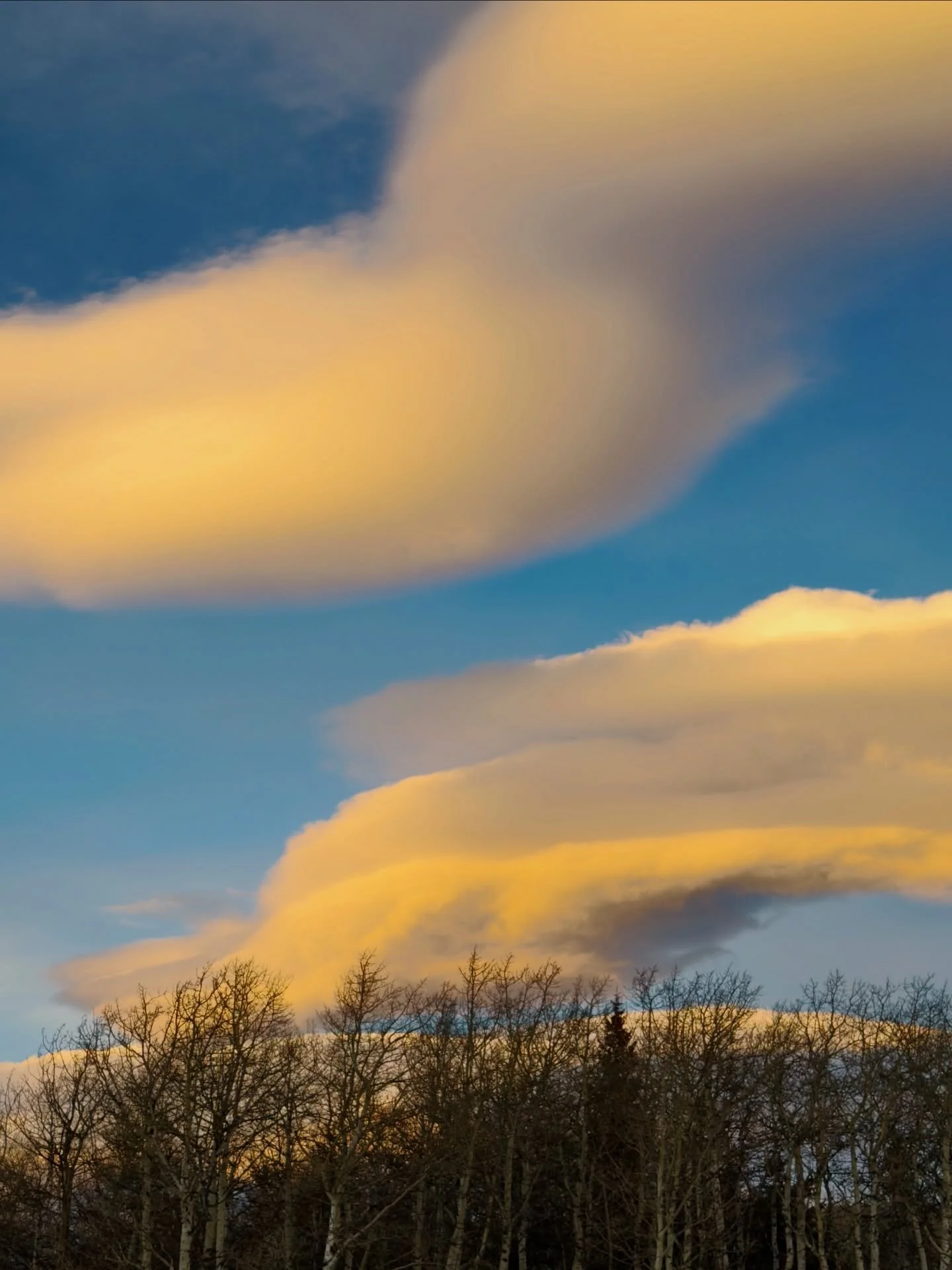 Lenticular clouds glowing at sunset beneath a bright blue Alberta sky 

#AlbertaSky #BrightBlueSky #LenticularClouds #PrairieSkies #SunsetMagic CloudLovers