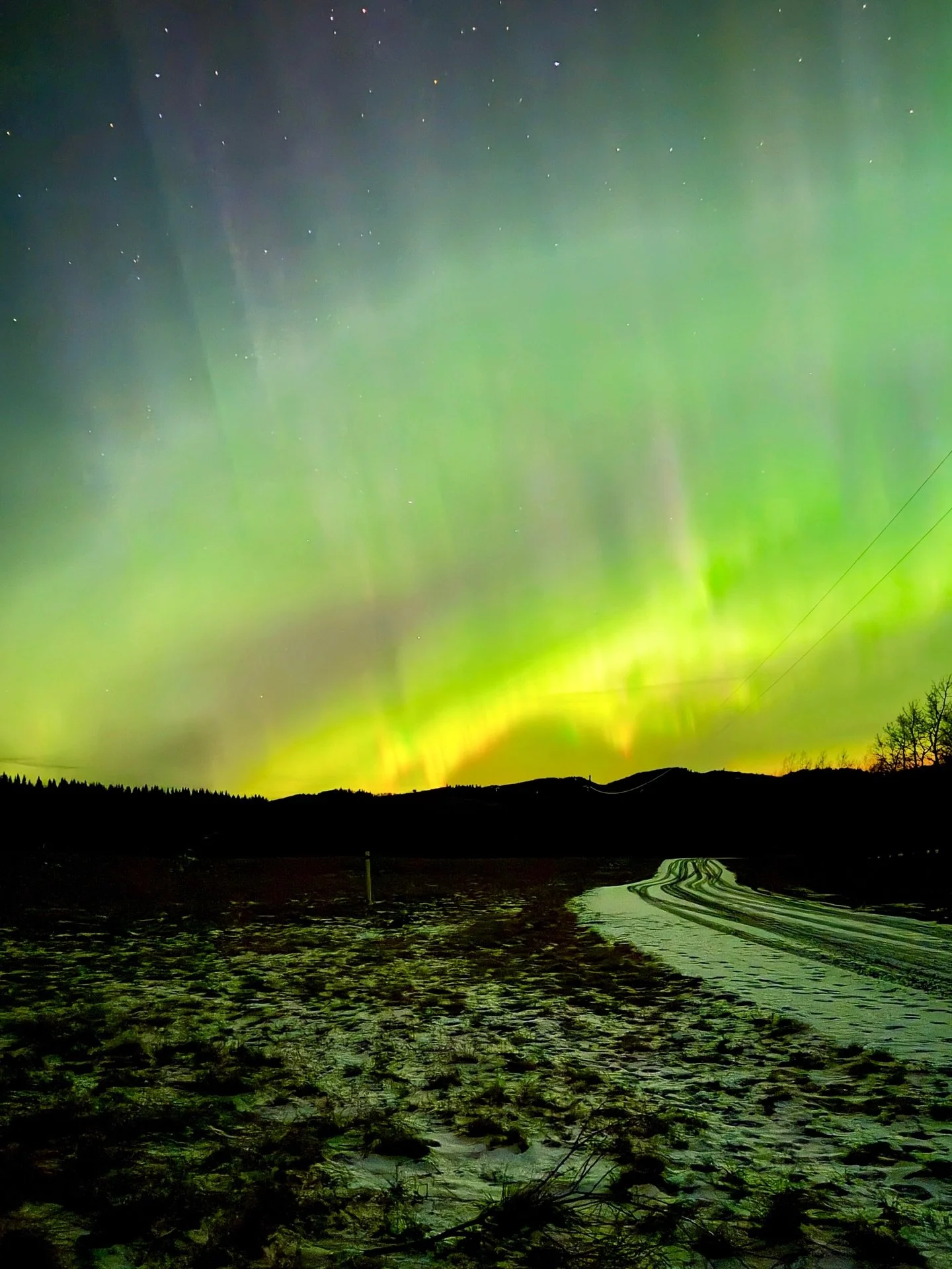 Last night&rsquo;s northern lights at Thanksgiving Ranch 

A full 360&deg; show&mdash;dancing, swirling, and lighting up in every direction. Easily one of the most incredible displays we&rsquo;ve ever seen out here.

#NorthernLights
#AuroraBorealis 
