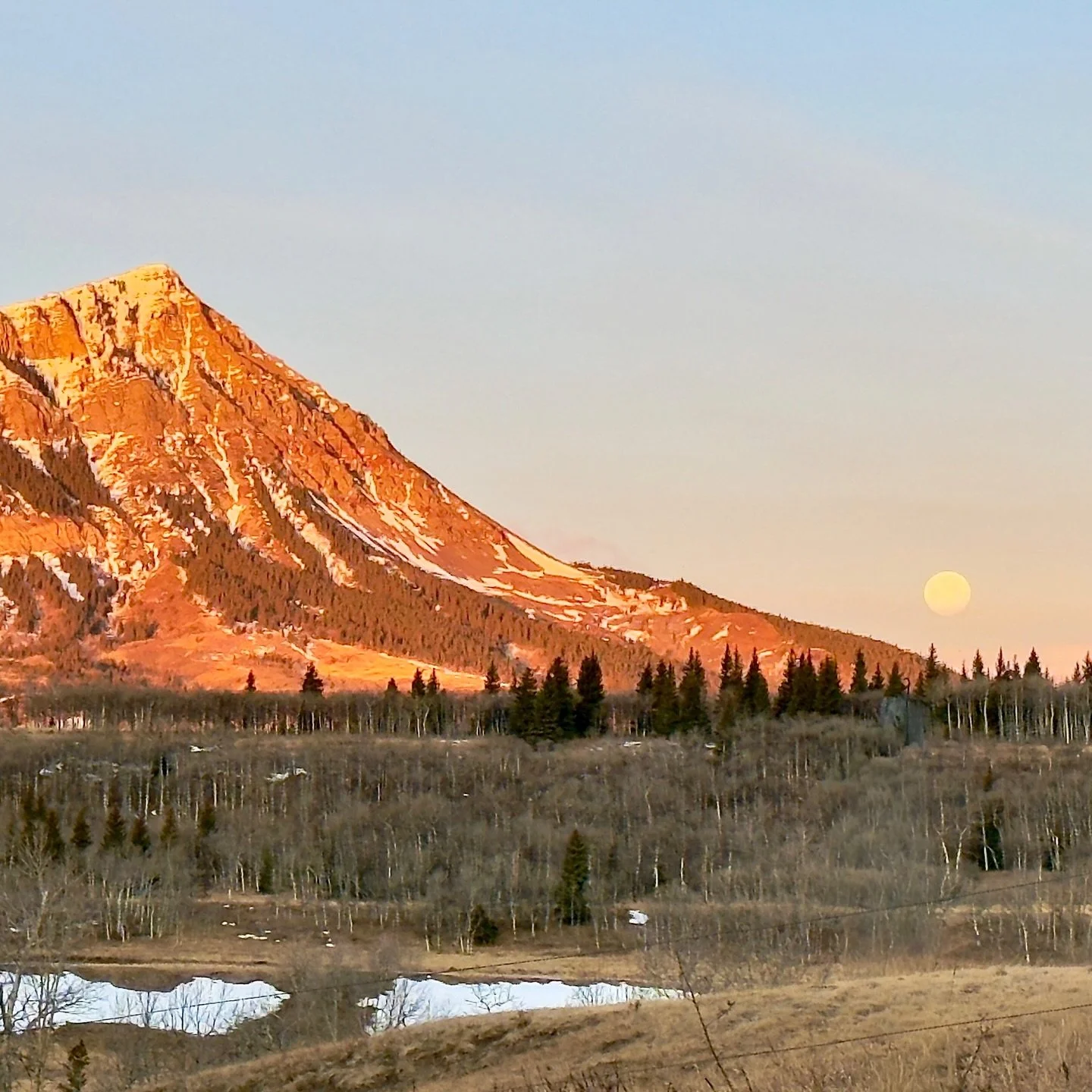 Looks like the full moon rolled down the side of Corner Mountain like a giant ball and took a big bounce on its way to the horizon. 
Woke up to this view a couple days ago. 🌕✨

#FullMoon
#MountainViews
#NaturePhotography
#LandscapePhotography
#Chasi