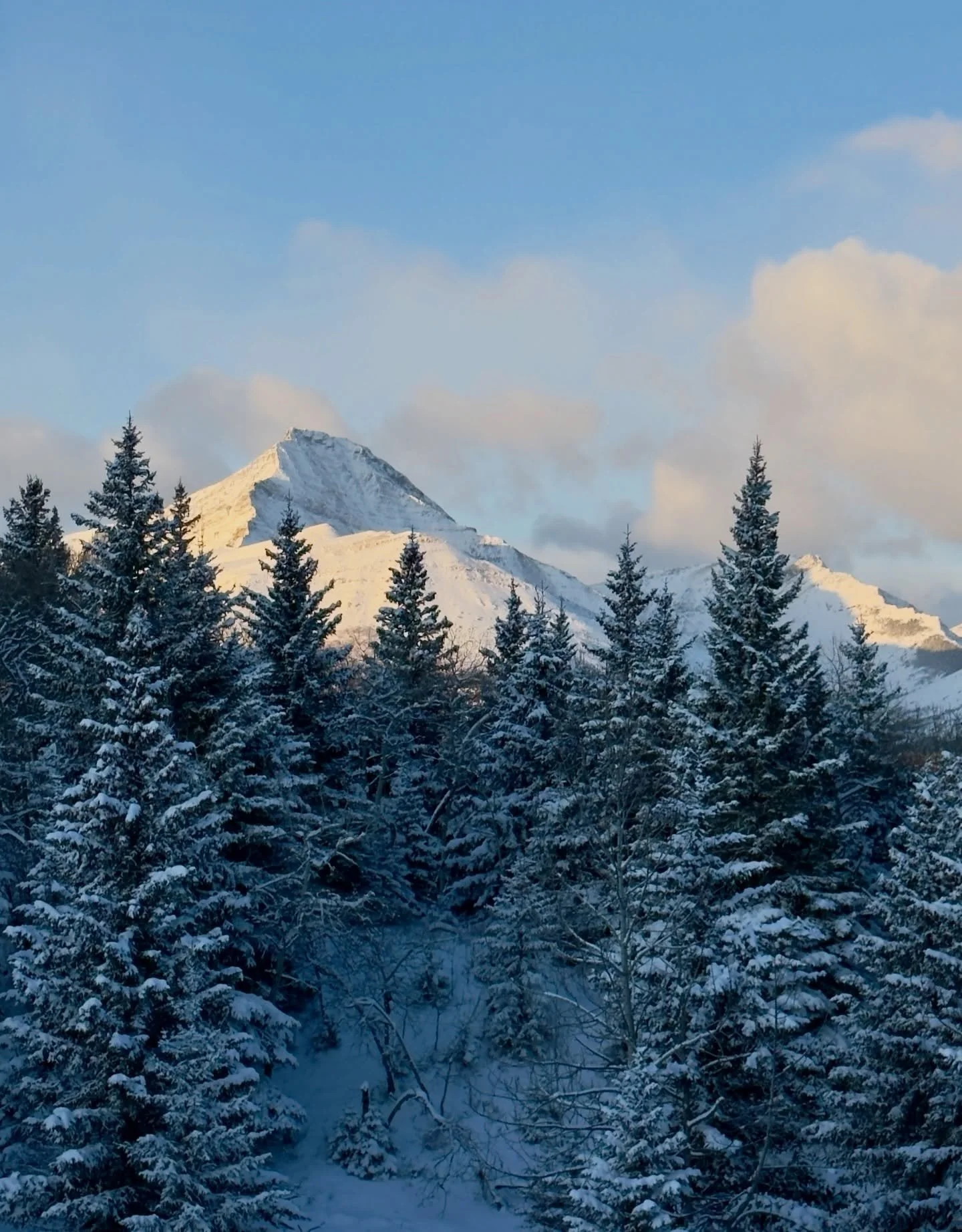 Alberta Spring doing its thing again 
❄️➡️☀️➡️⛈️

Last night&rsquo;s fresh blanket of snow, this morning&rsquo;s crystal-clear blue skies, and somehow there&rsquo;s a risk of thunderstorms this afternoon. Only in Alberta.

The sun shining on the Rock