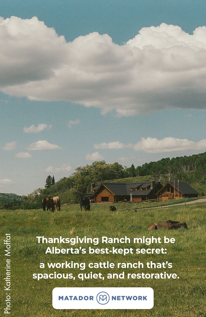 matadoor-thanksgiving-ranch-katherine-moffat.png
