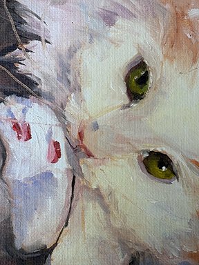 bob close up.jpg