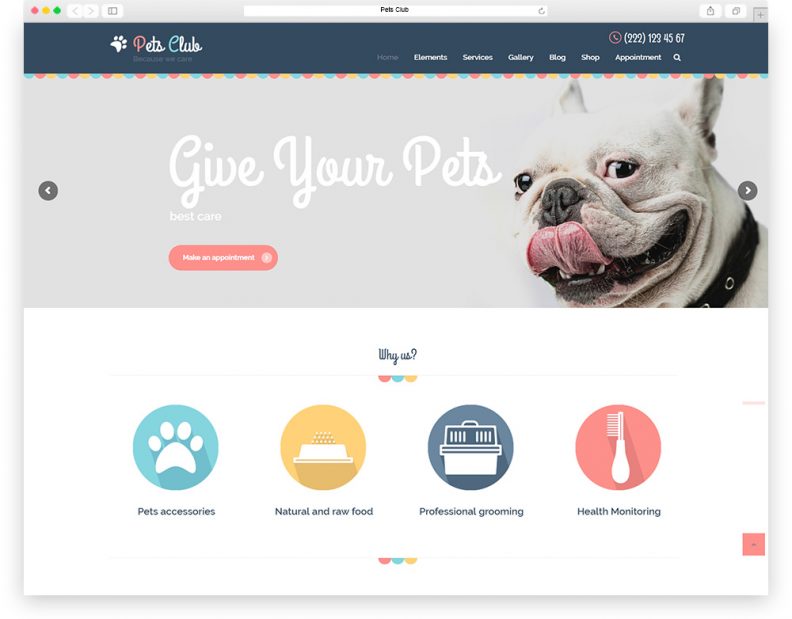 Must-Have Pages for Pet Store Websites 
