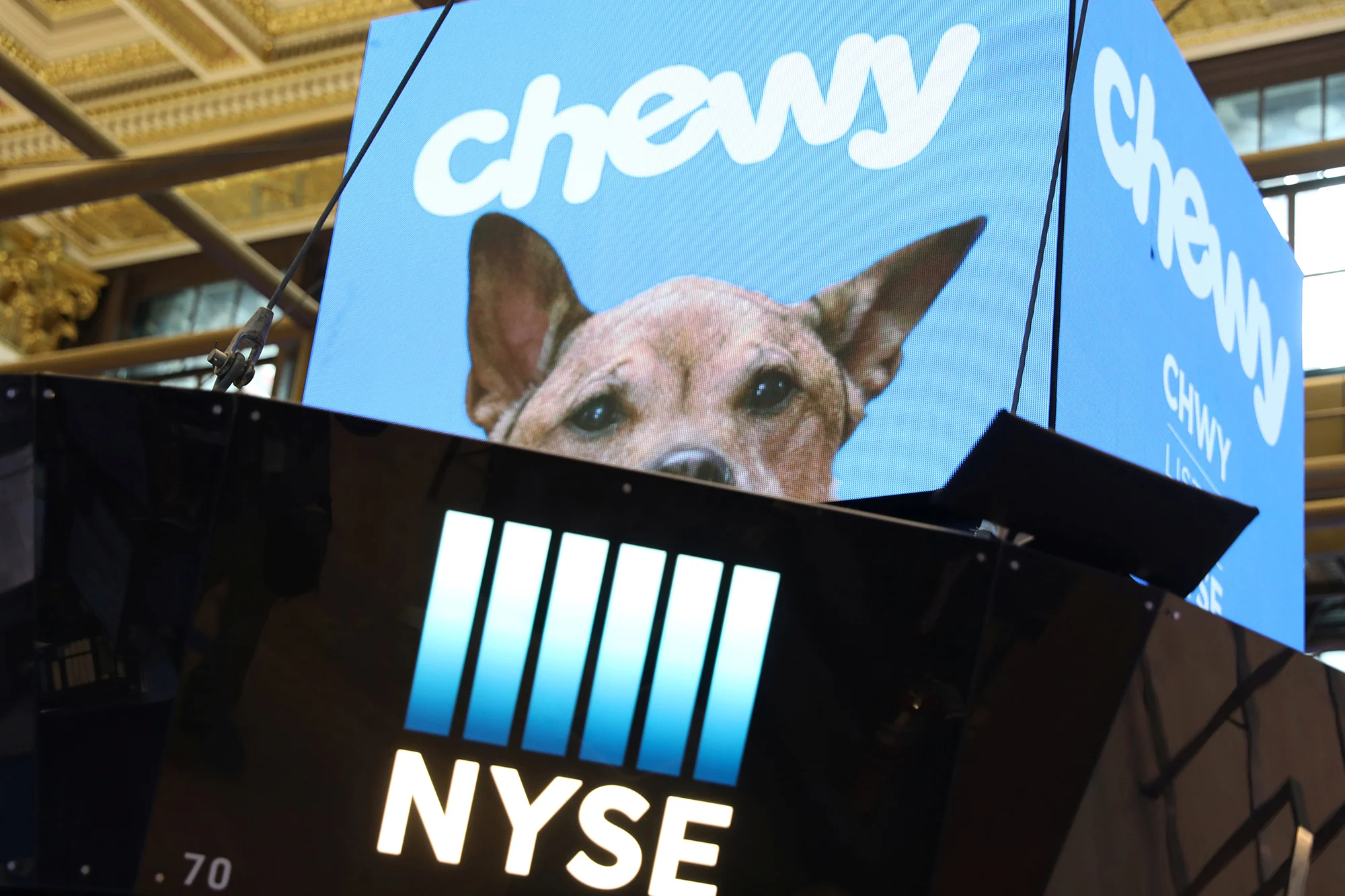 190614-chewy-ipo.jpg