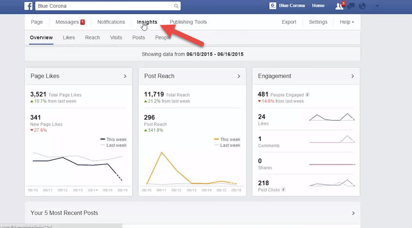 facebook insights.png