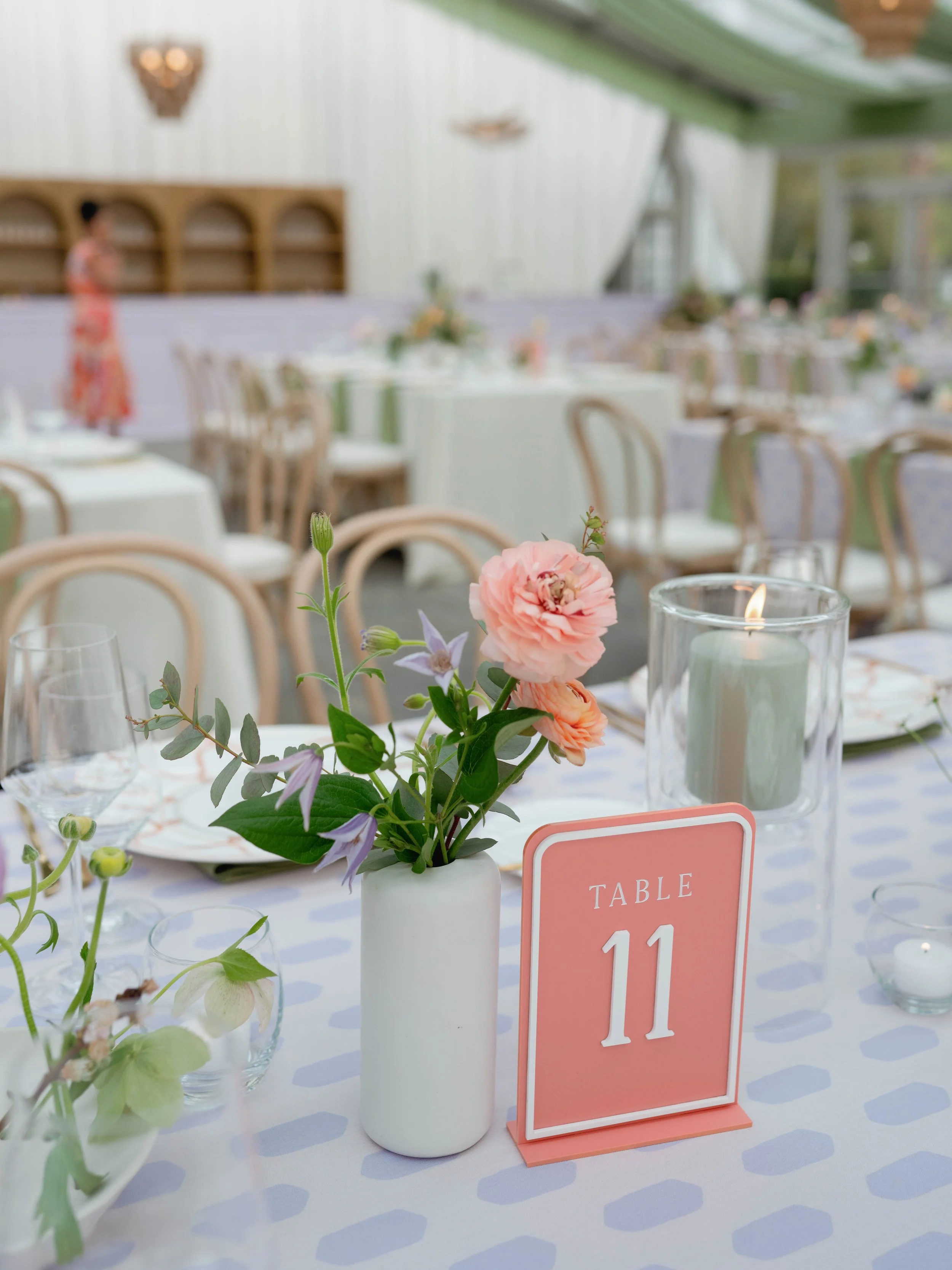 Photo Mar 29 2025, 5 56 01 PM.jpg