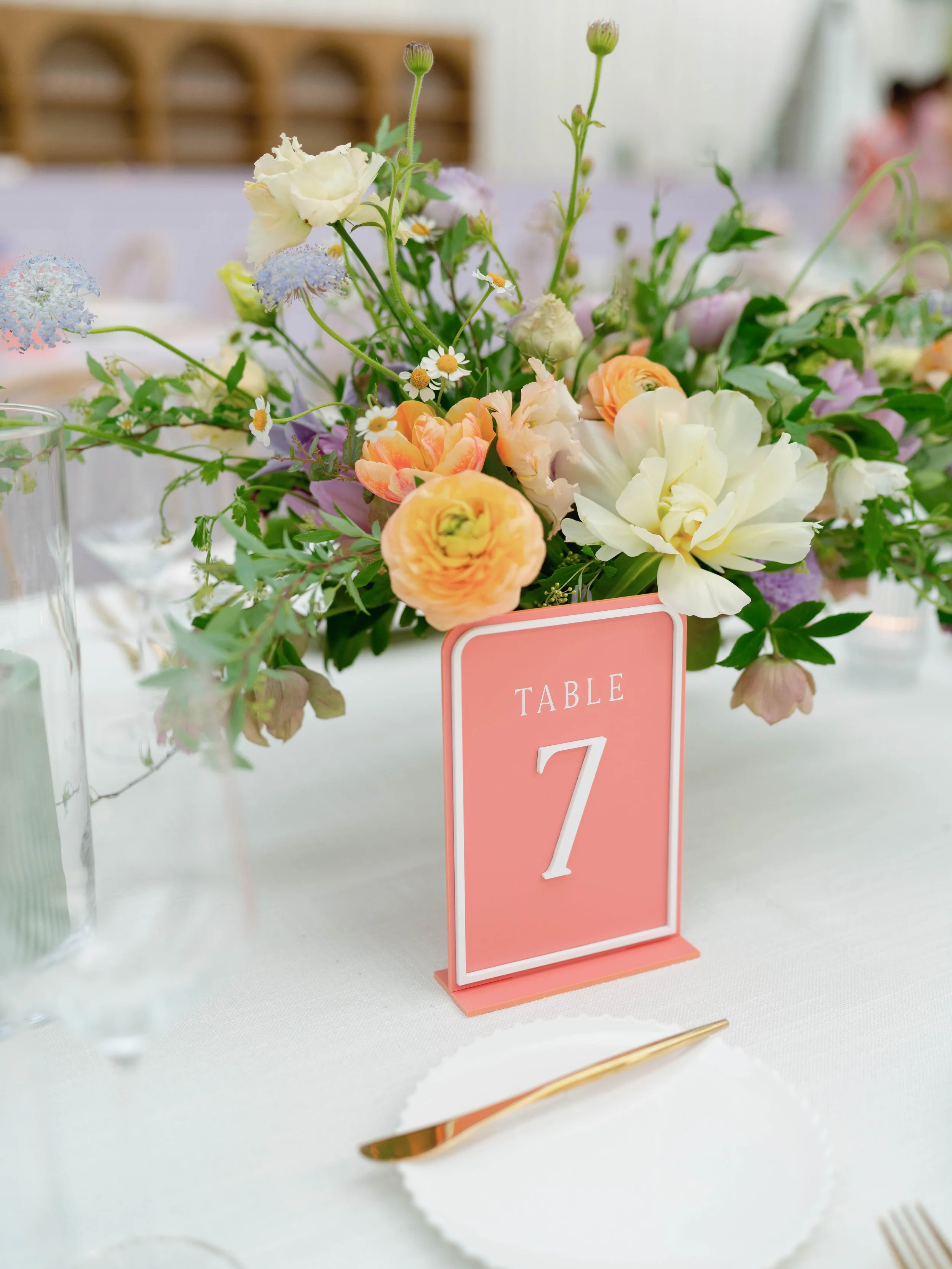 Photo Mar 29 2025, 5 57 11 PM.jpg