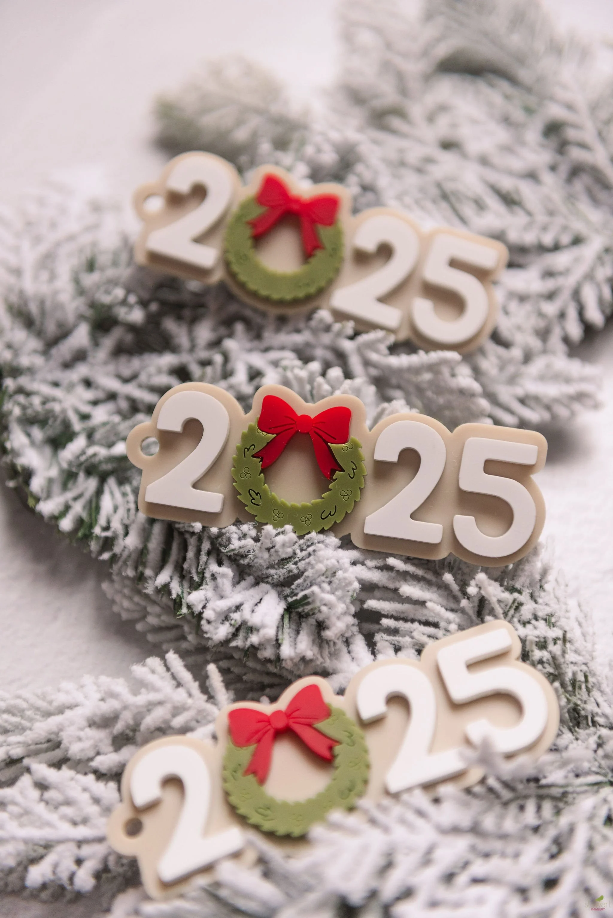 PaintedLetterCo.-Holiday2025-0027.jpg