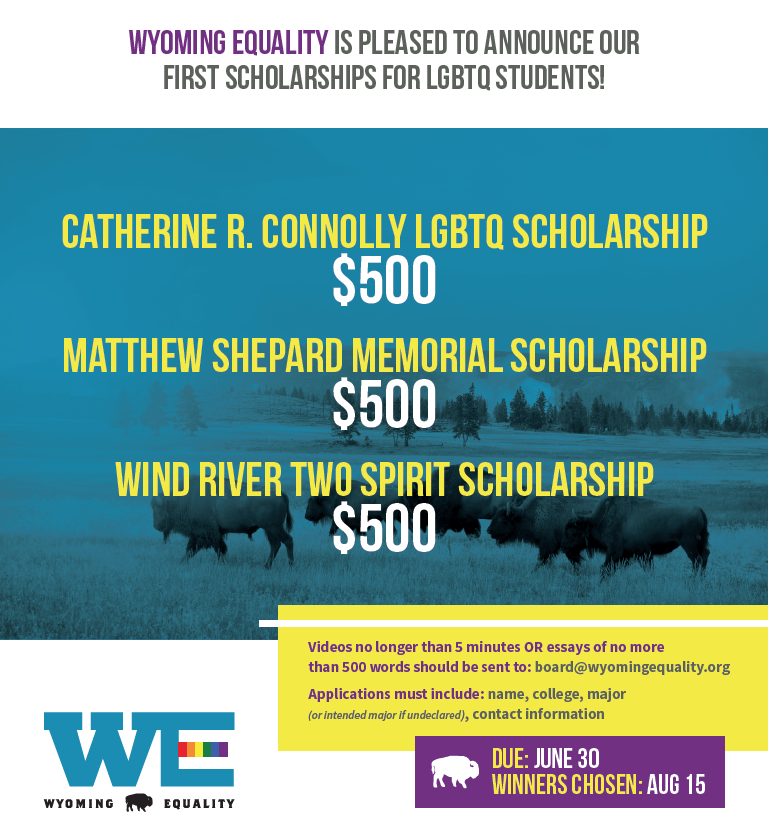 WE Scholarship.png