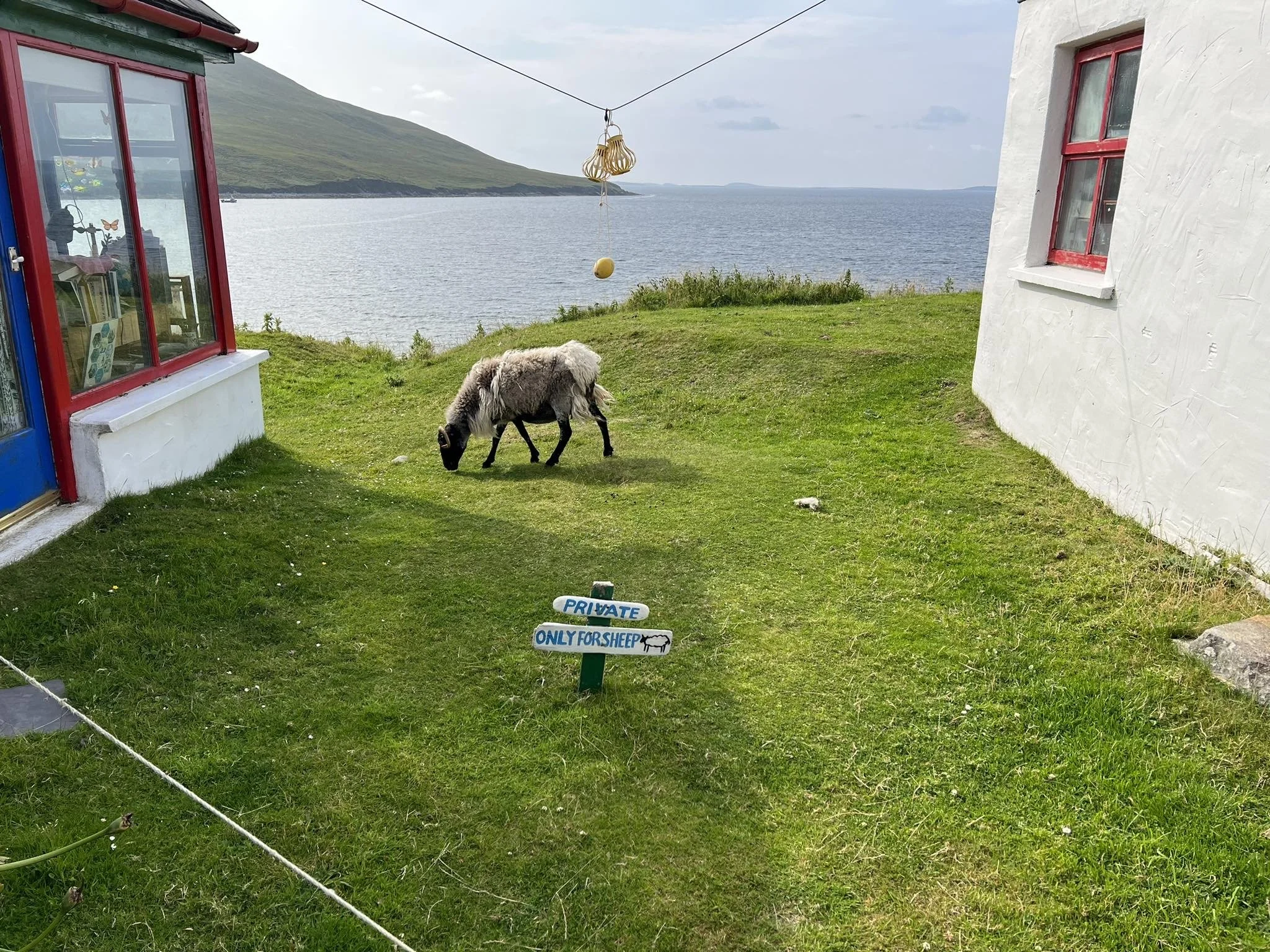 received_224482273895205 2.jpeg