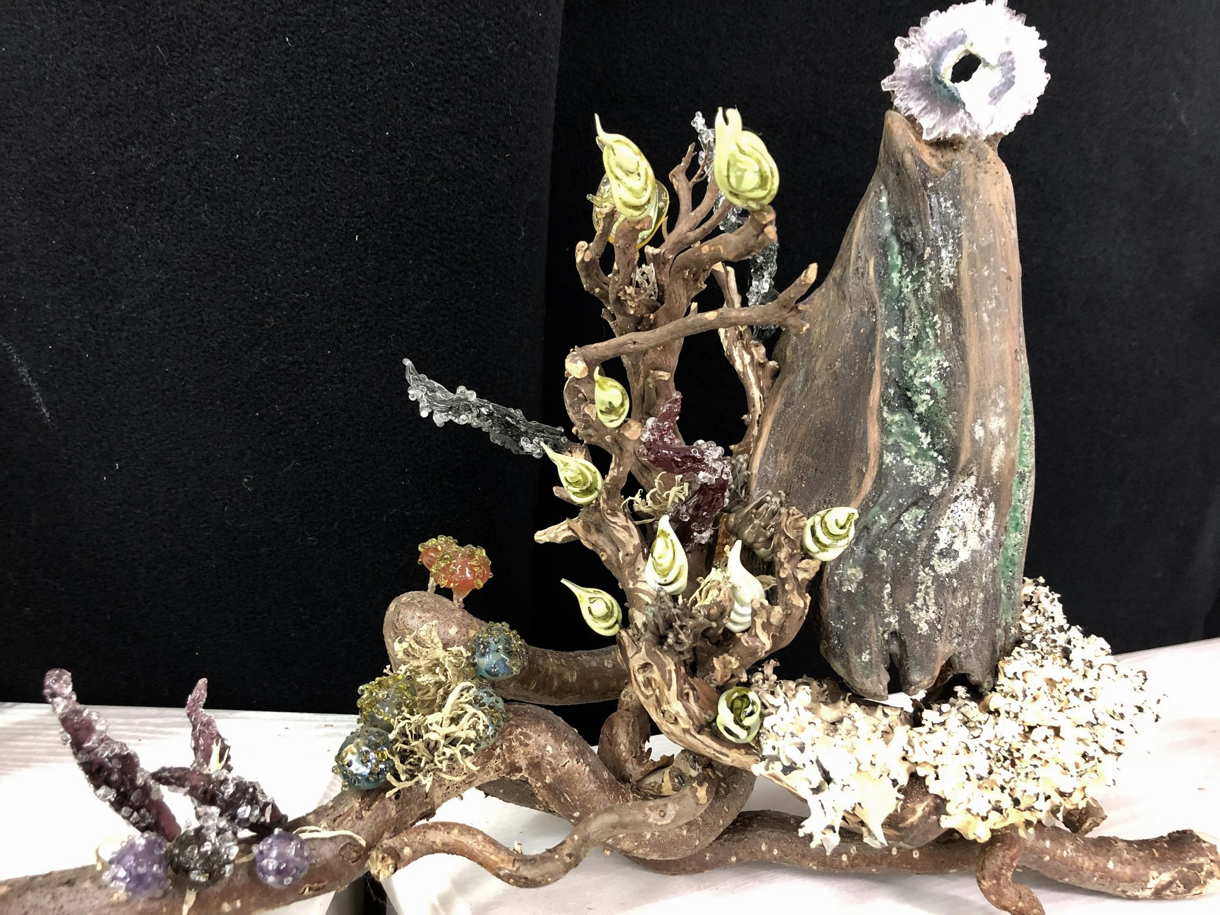 Drift wood, encaustic, lichen and glass.JPG