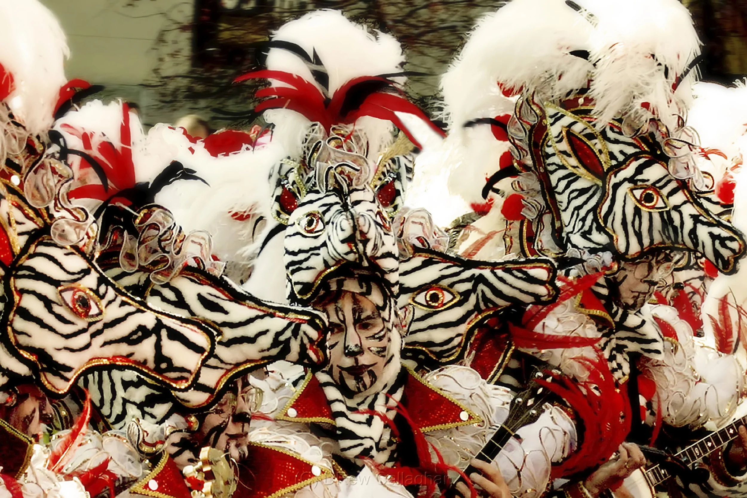 New Years Day Parade "The Zebras"