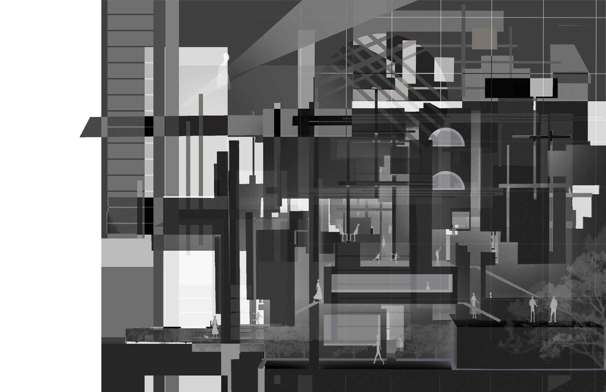 main collage.jpg