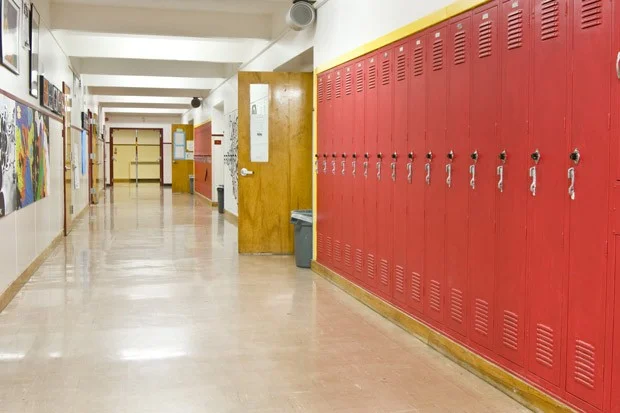 Source article on Racism in Schools