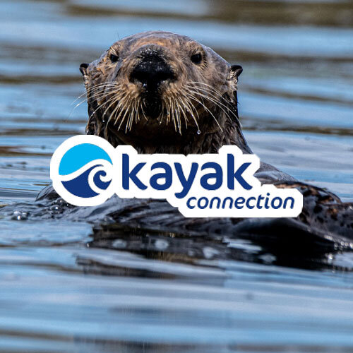 bid-kayak-connection.jpg