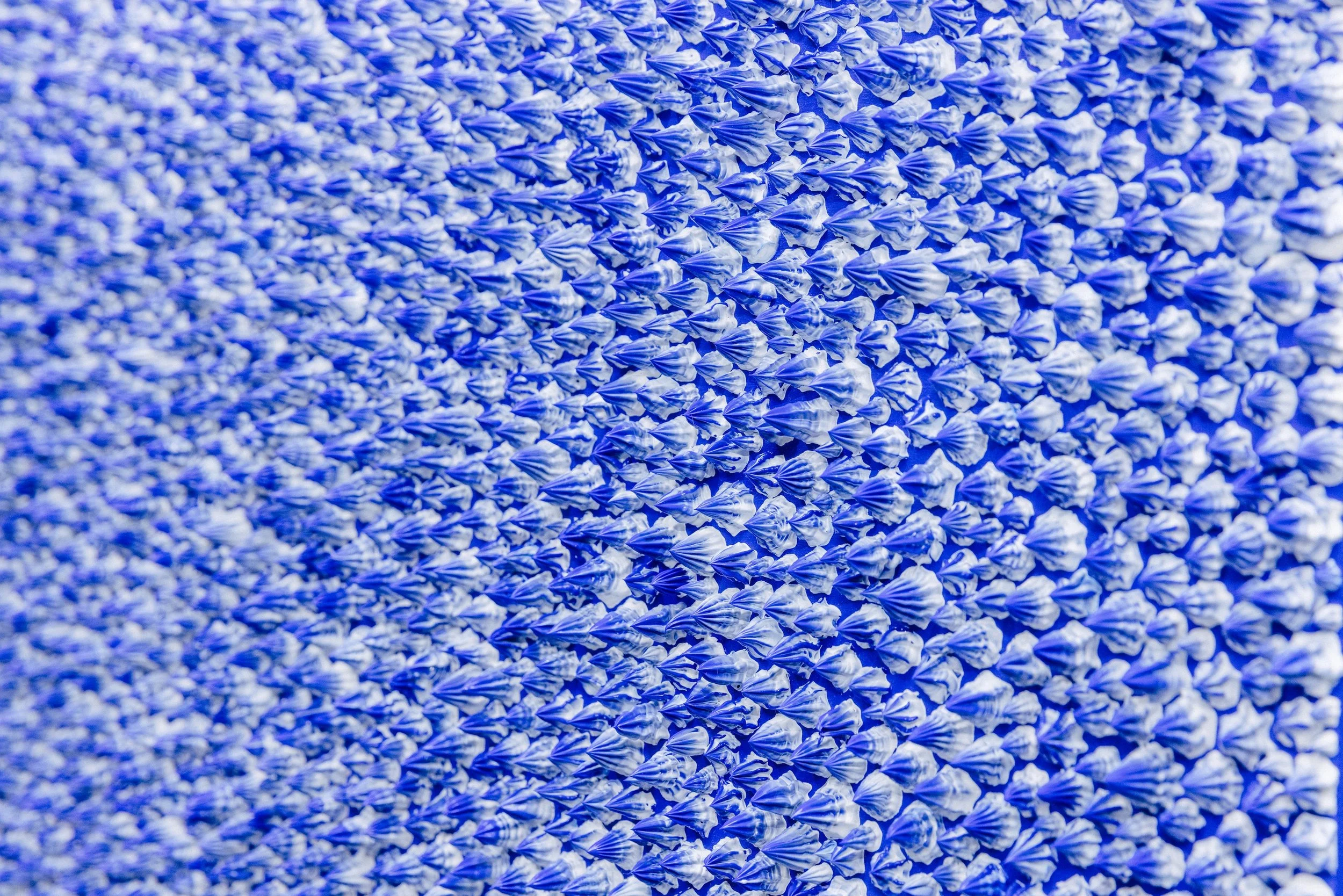 Blew Two Problems (Detail1).jpg.jpg