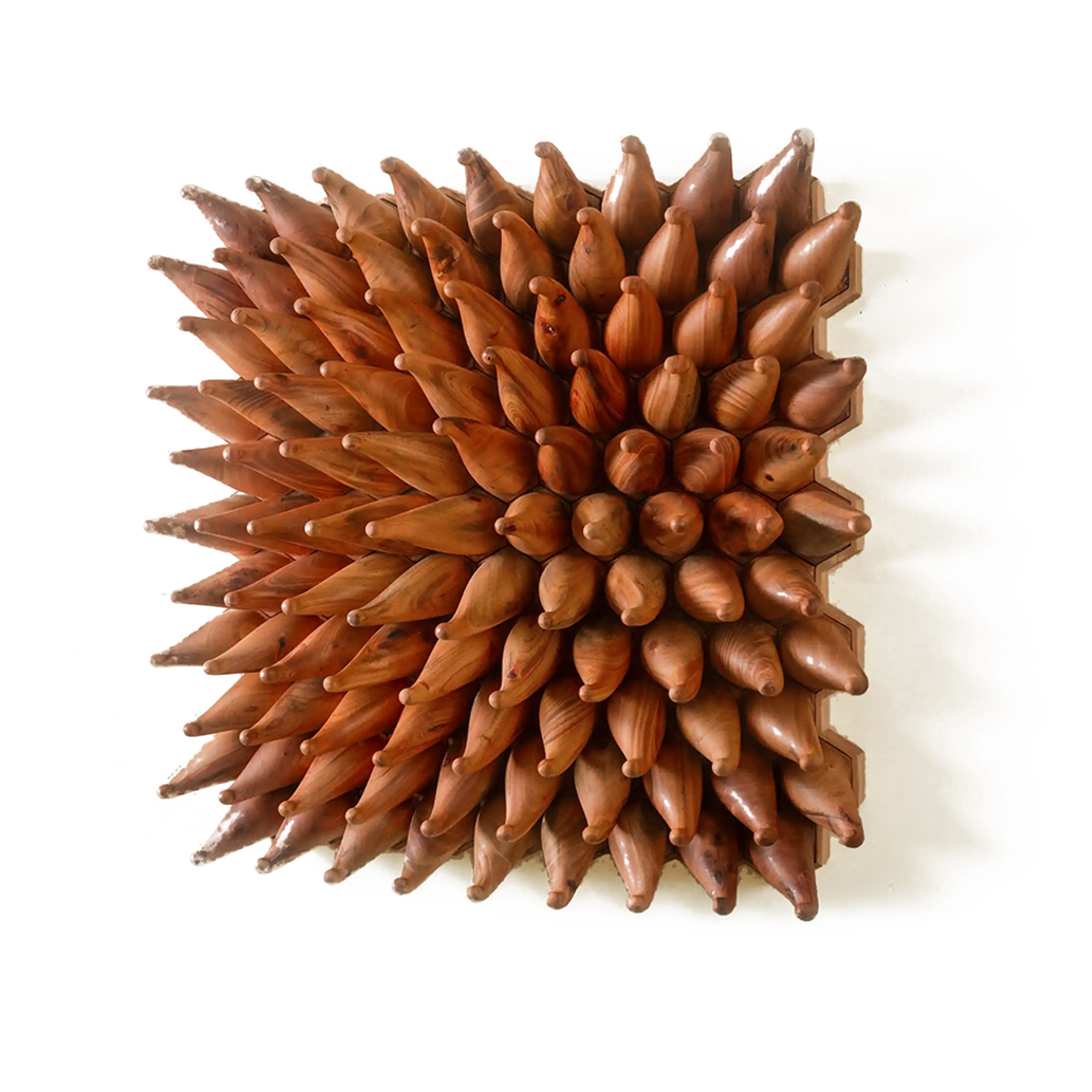 Splashy Sprouts by Herschel Shapiro.jpg