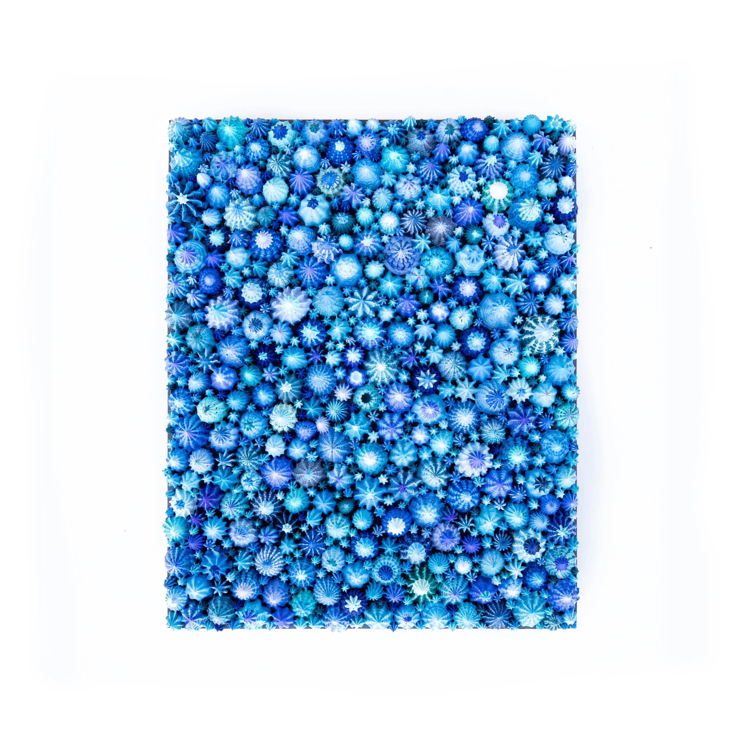 Blue Sky Problems (website).jpg