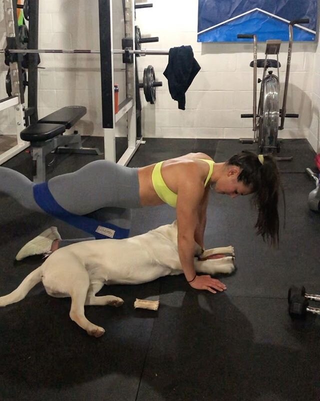 HOME WORKOUTS w/ my loyal member 🐾
&bull;
I had every intention of filming today BUT this is all I got🤣
✨www.metabolicsbymg.com✨