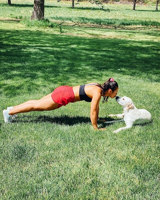 Push ups with my loyal gym member 🐾
✨www.metabolicsbymg.com✨