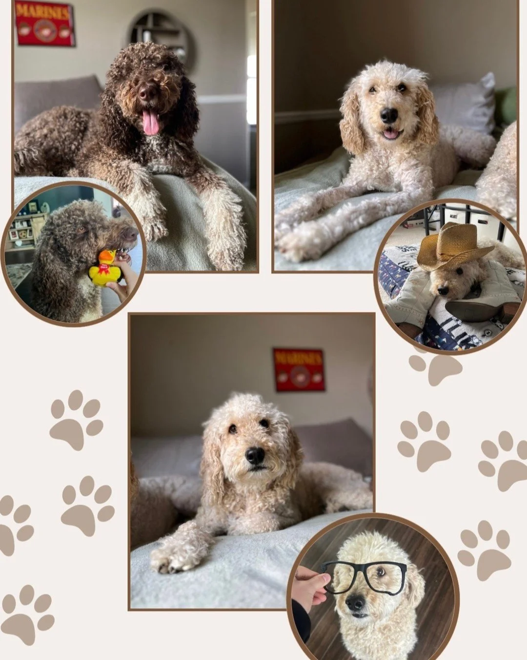 🐾 Happy National Dog Day from the PARTNR HAUS pack! 🐶✨

Our four-legged coworkers may not attend meetings (or maybe they do 🐕💻), but they definitely bring joy, energy, and endless tail wags to our days.

We are celebrating the pups who remind us 