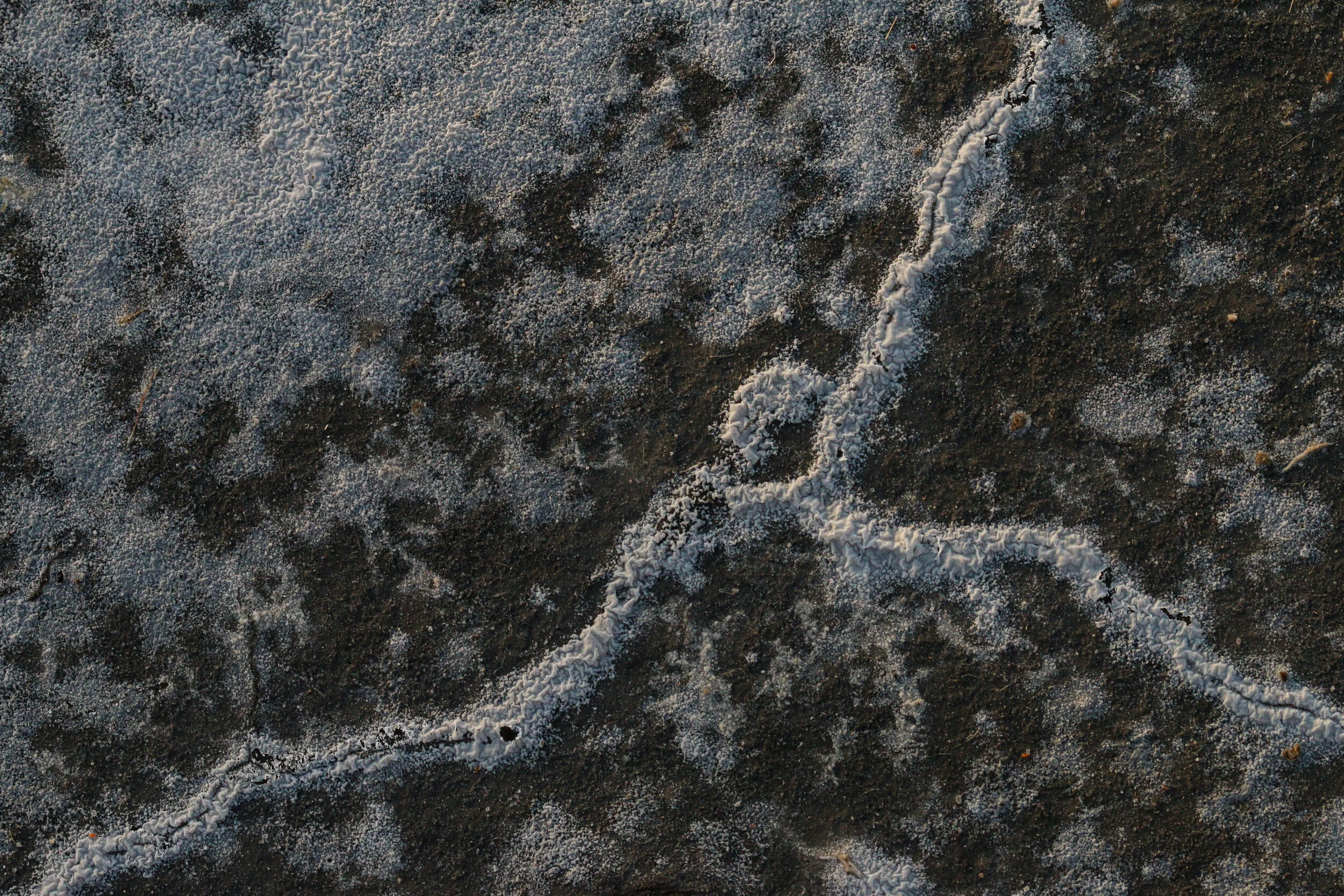 Salt Crust