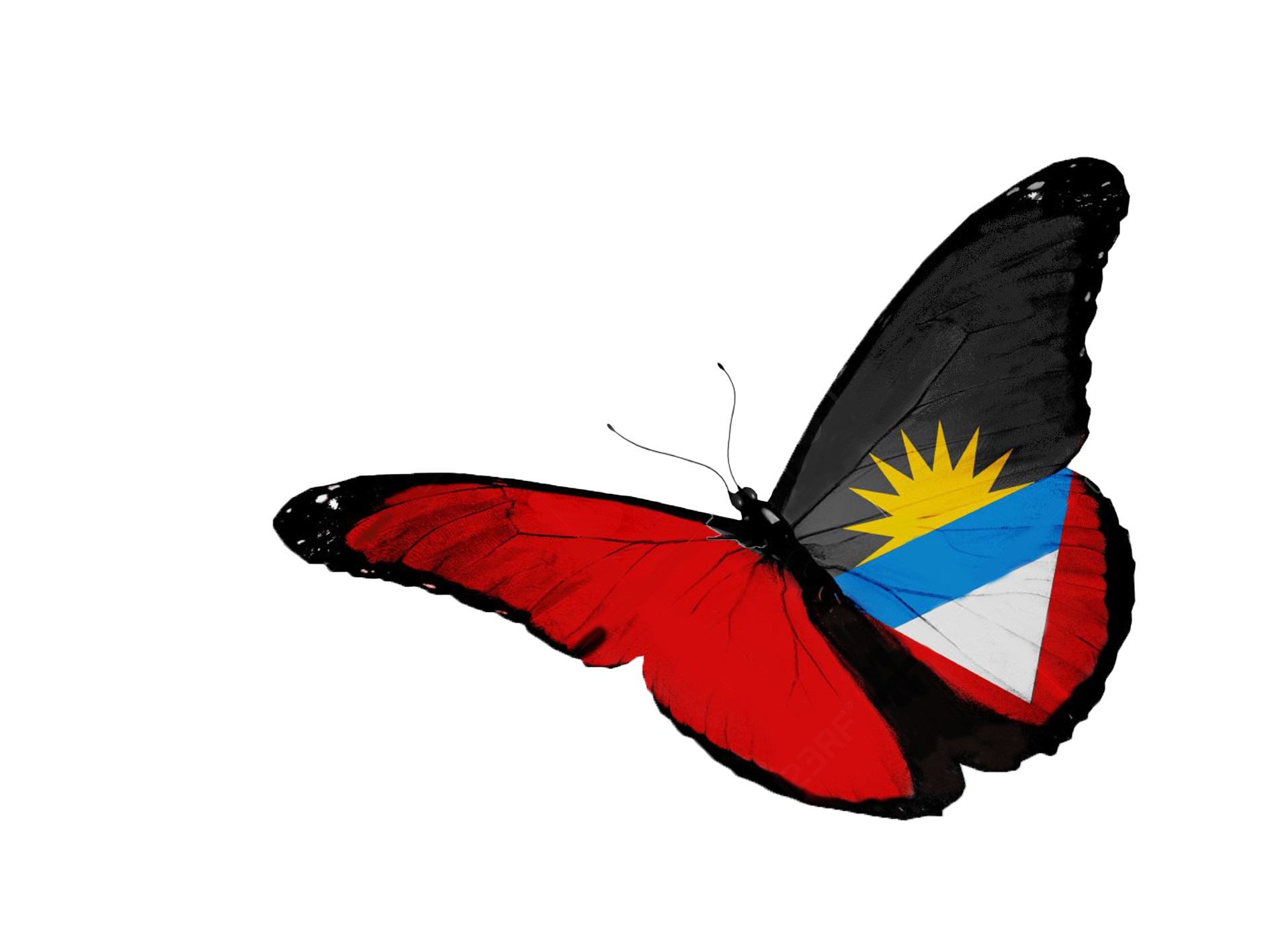 antigua-and-barbuda-flag-butterfly-flying-isolated-on-white-background.png