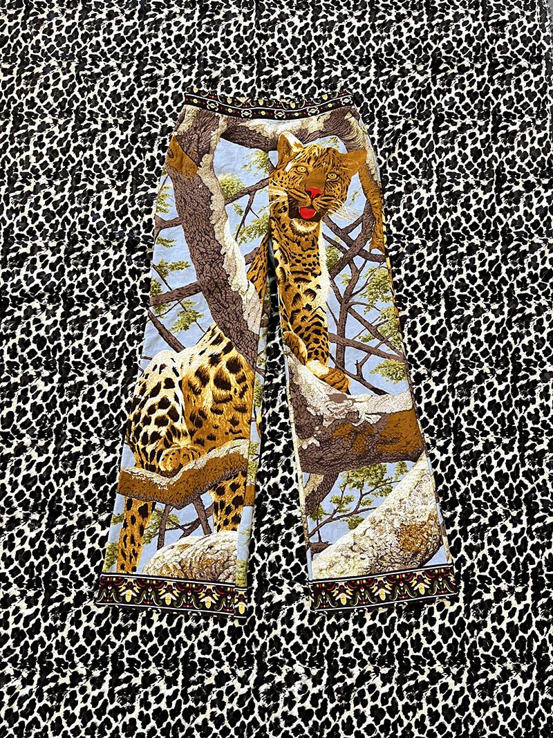 cheetah2.jpg