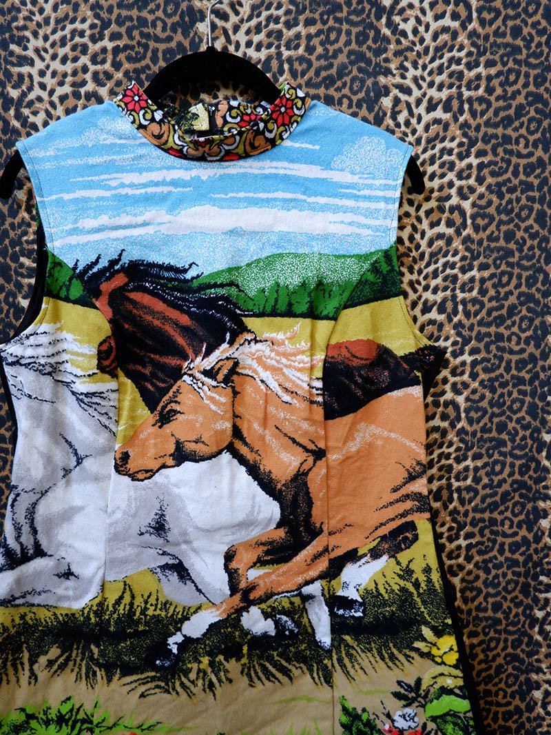 horse4.jpg