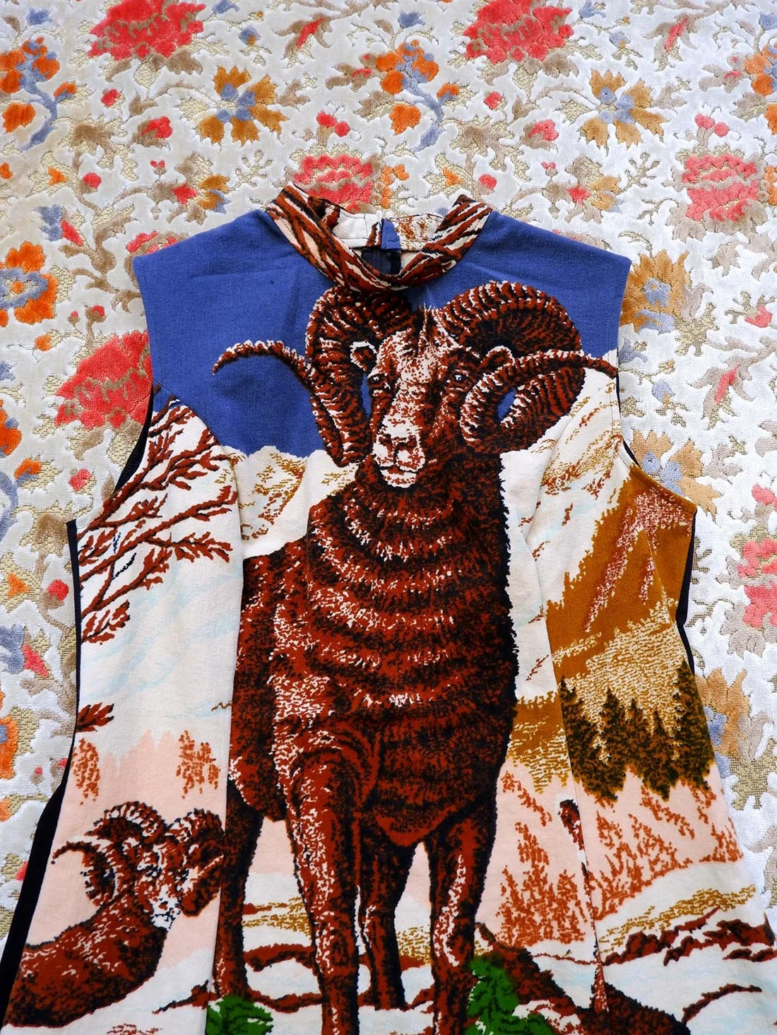 bighorn4.jpg
