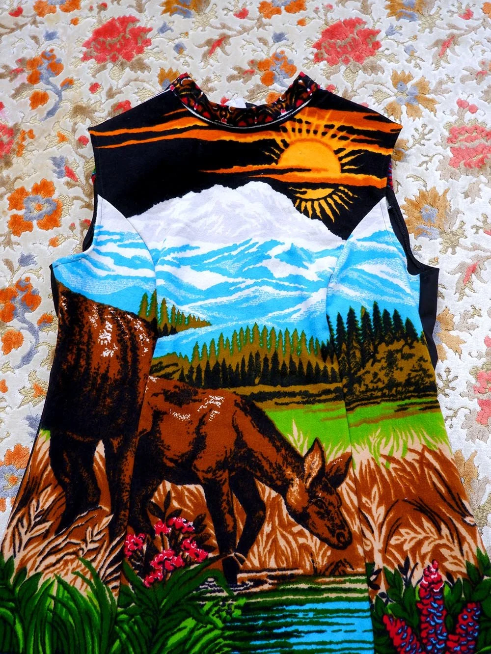 elk4.jpg