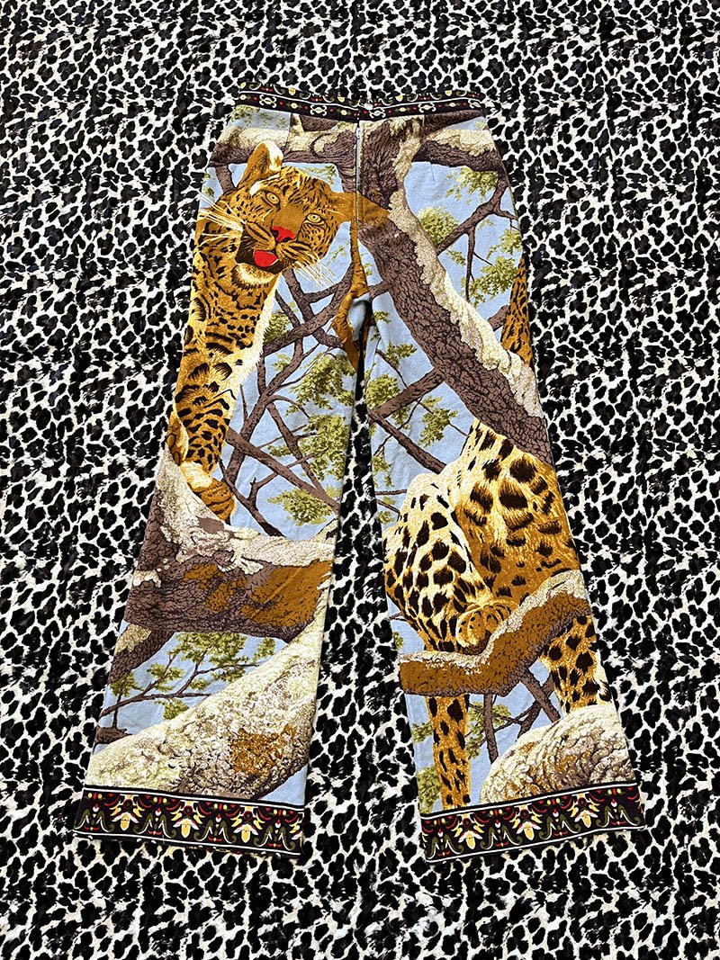 cheetah5.jpg