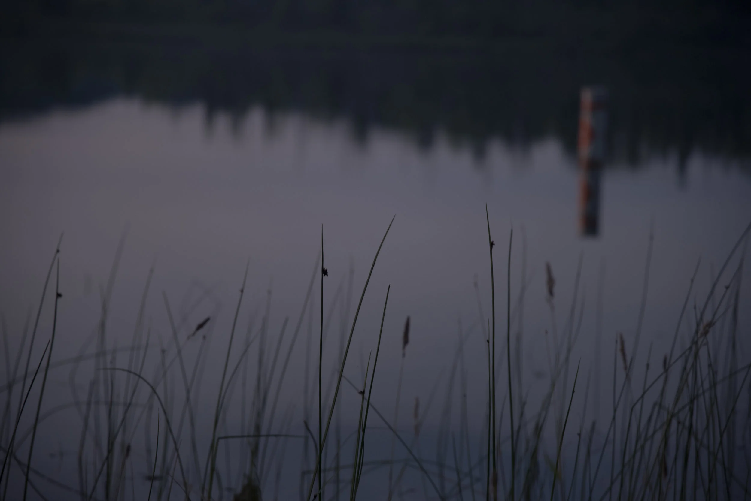 camping summer 2015 018.jpg