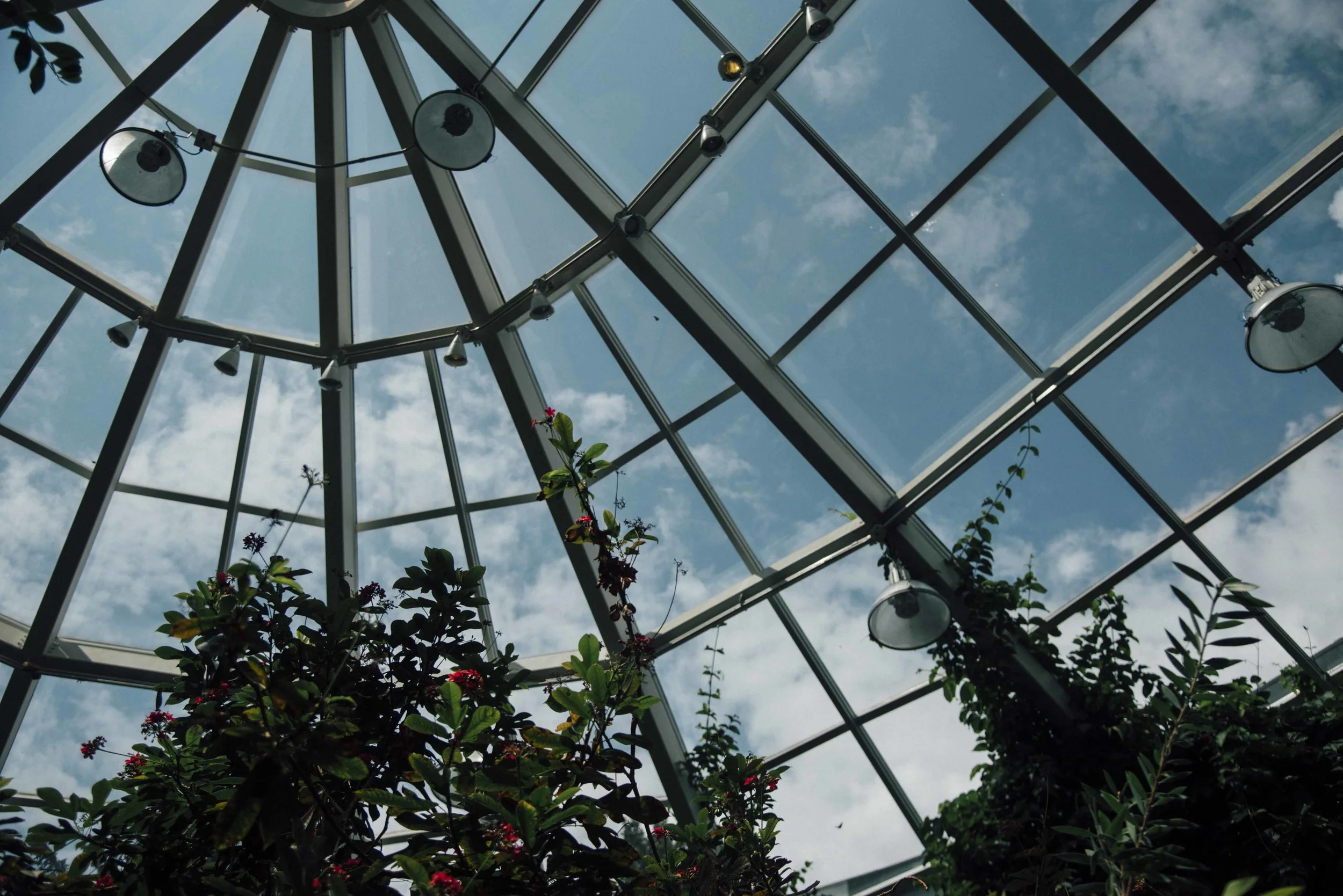 Zoo Aug, 2018 040.jpg