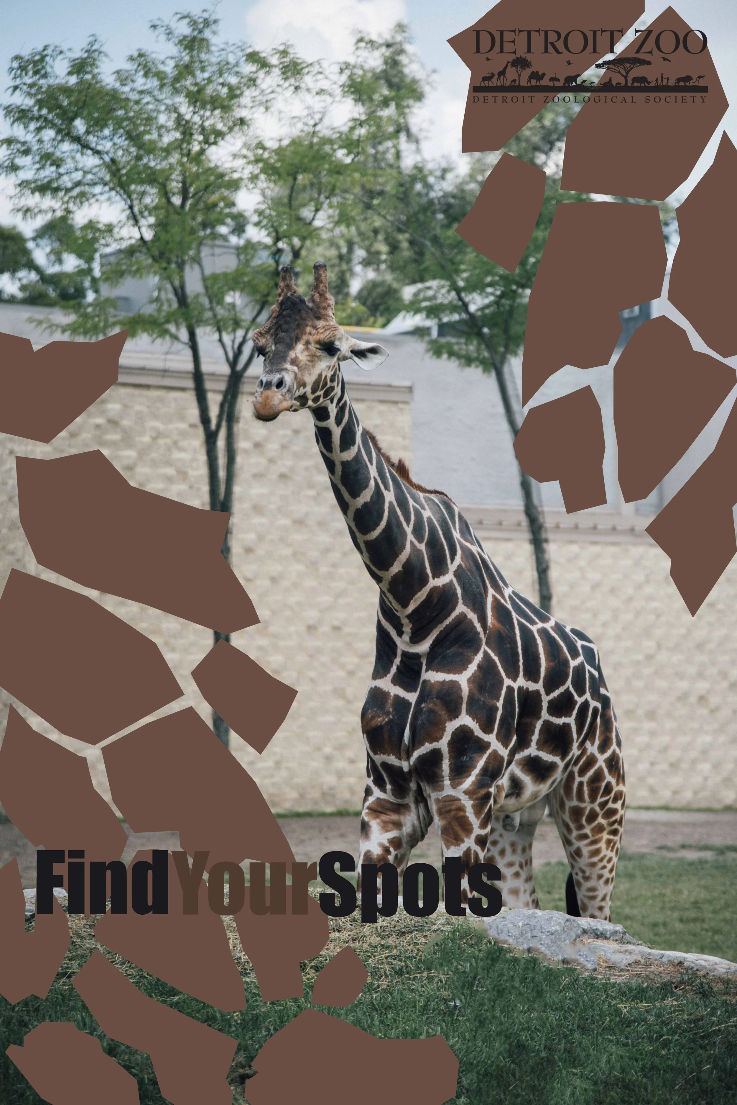 detroit zoo.jpg