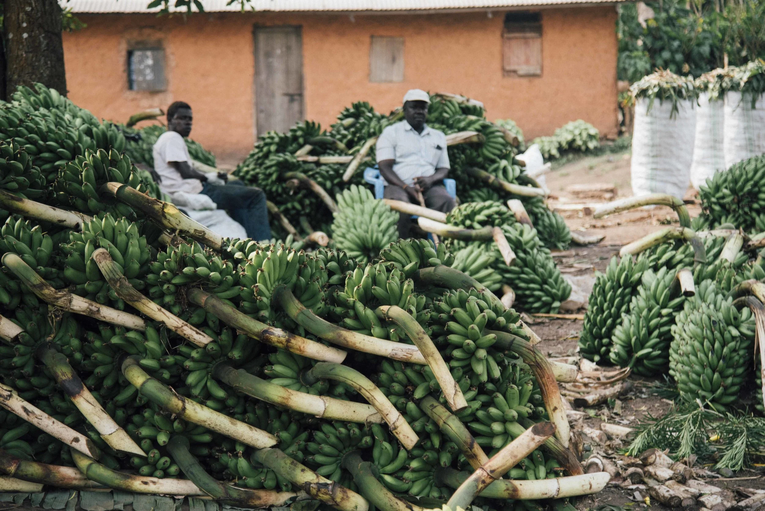 **Uganda 3 2019 019.jpg