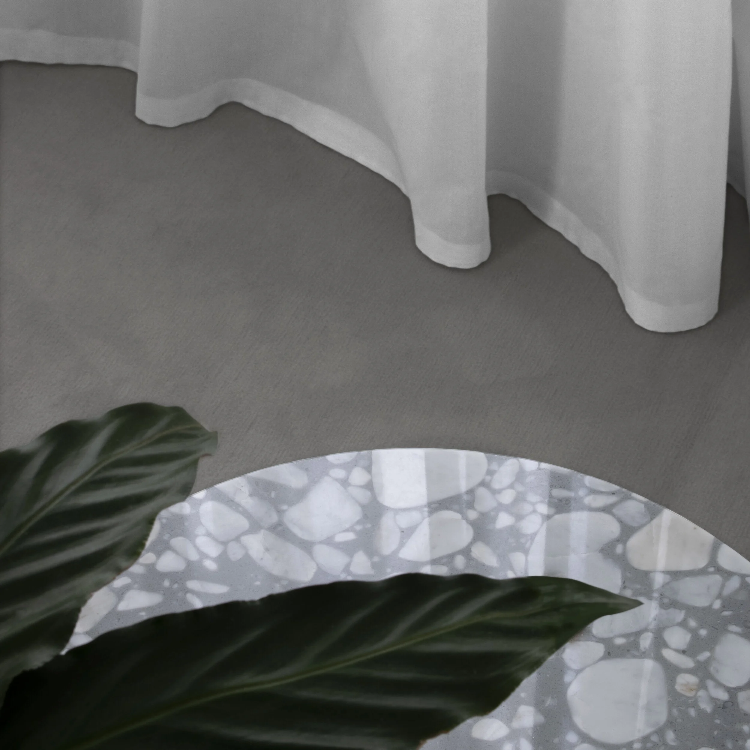 Point-paladio-griso-2