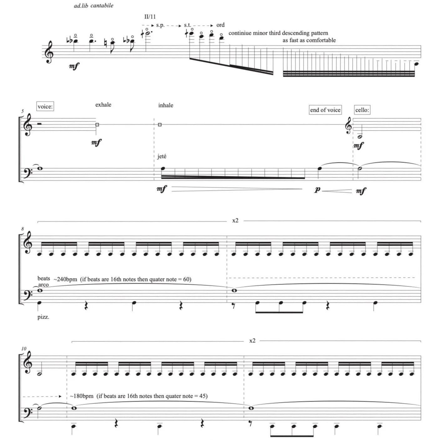 duo for cello and cellist