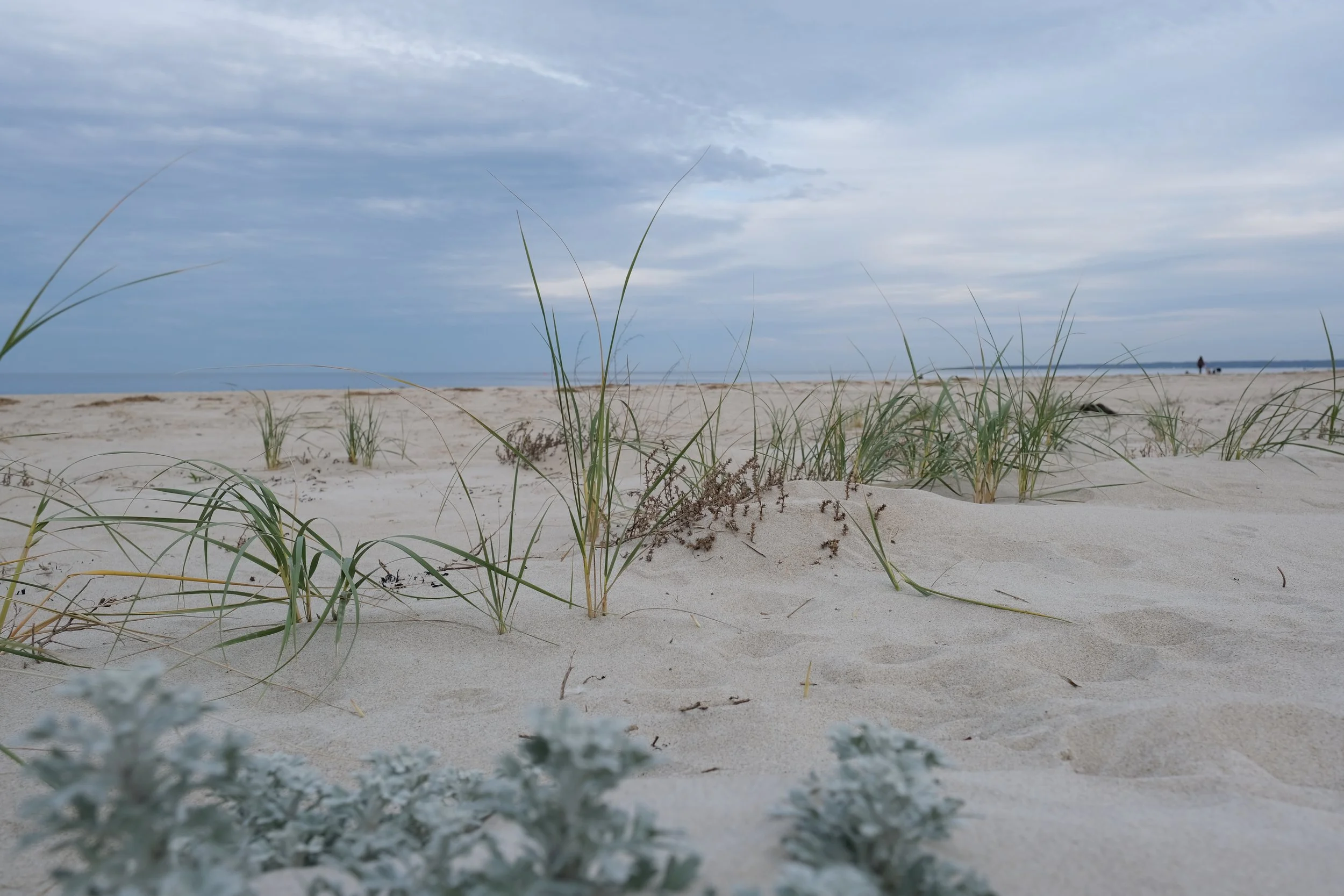 Weird’s Tale – There Will Come Soft Rains 