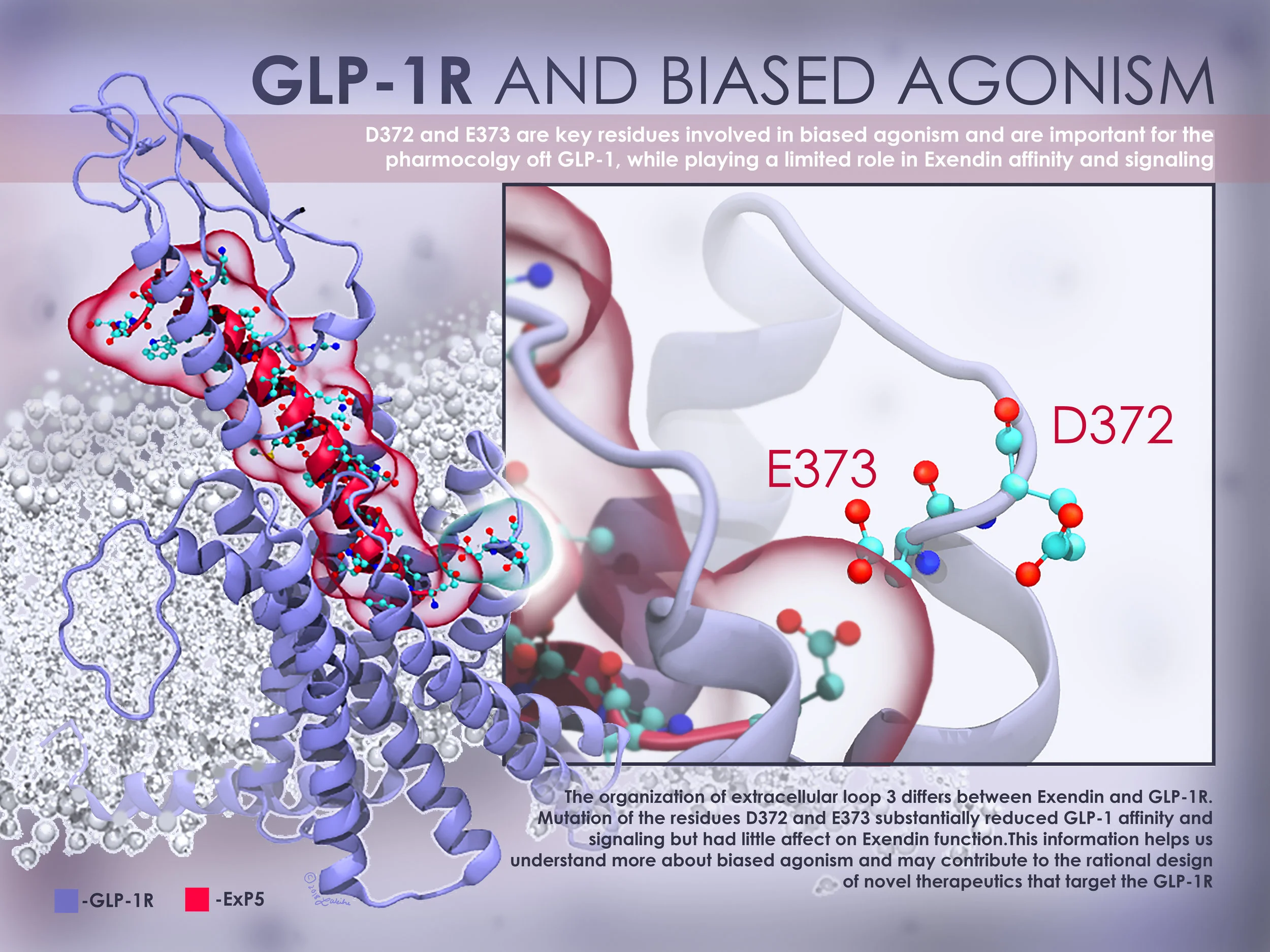 Preliminary Poster Design