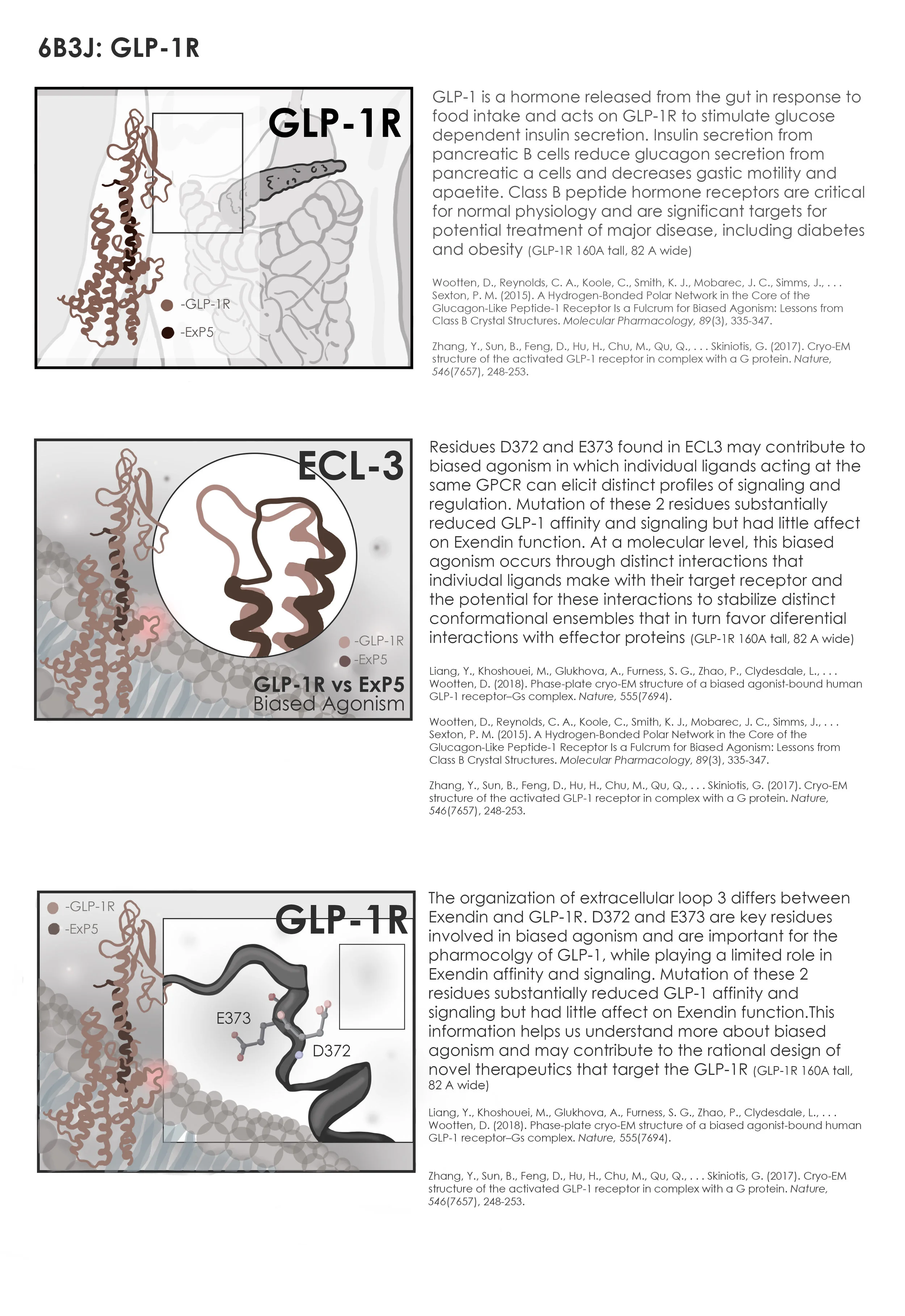 Final Storyboard for Project