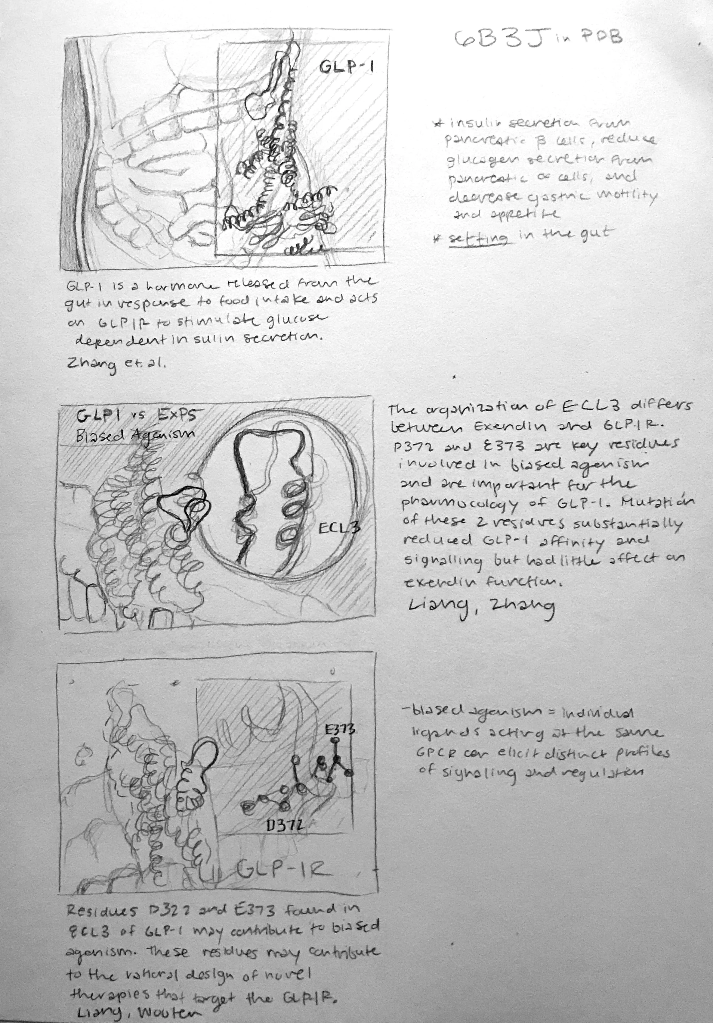 First Sketch of Storyboard