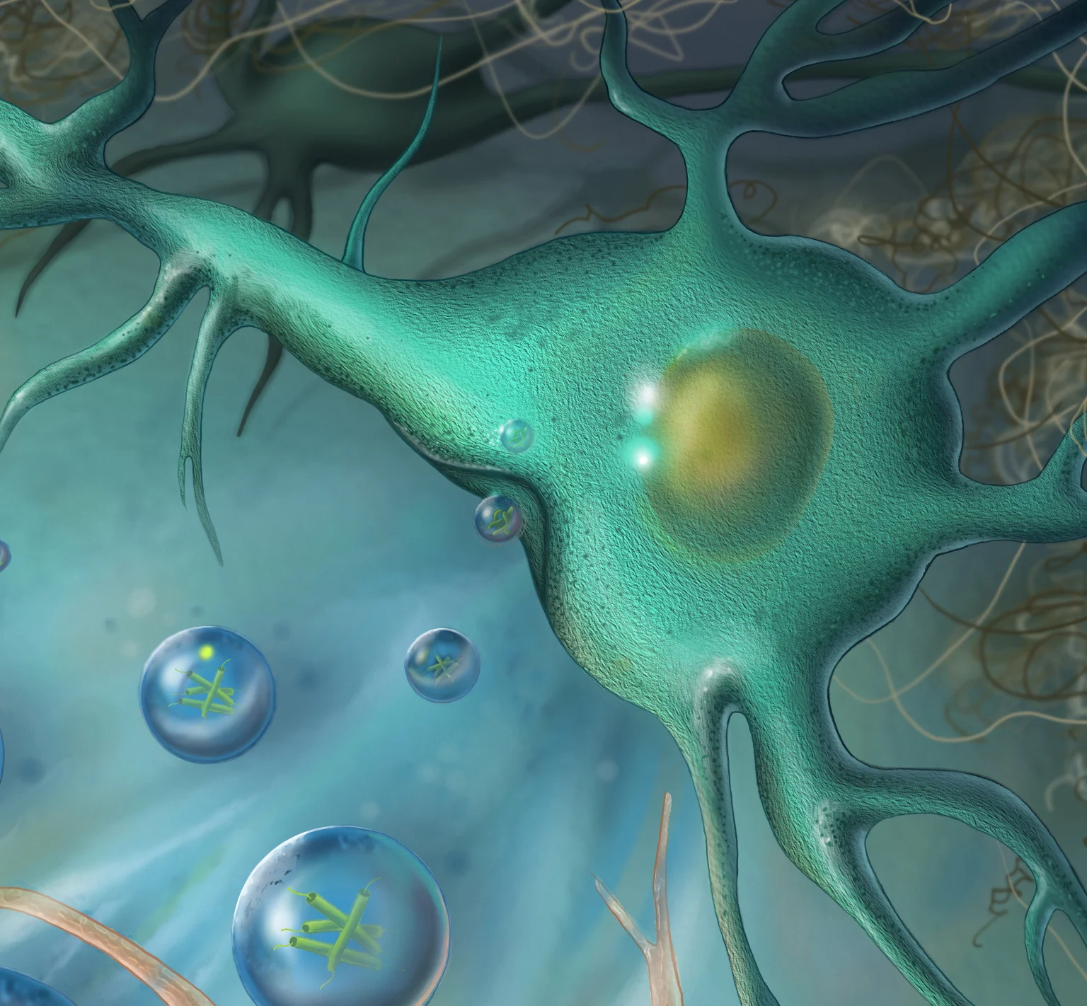 The Role of Microglial Cells in the Spread of Alzheimer’s Disease