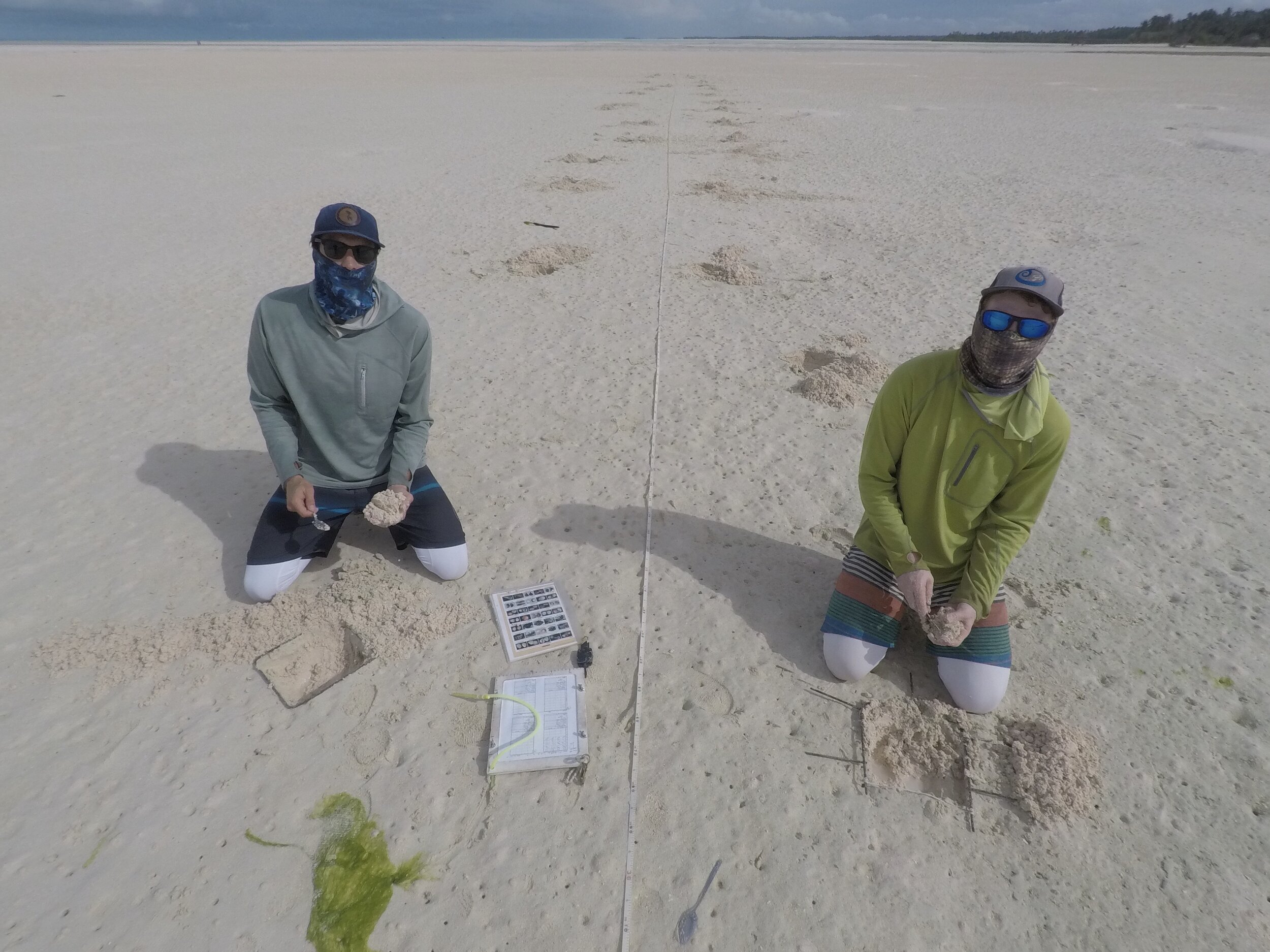 Sand flat research