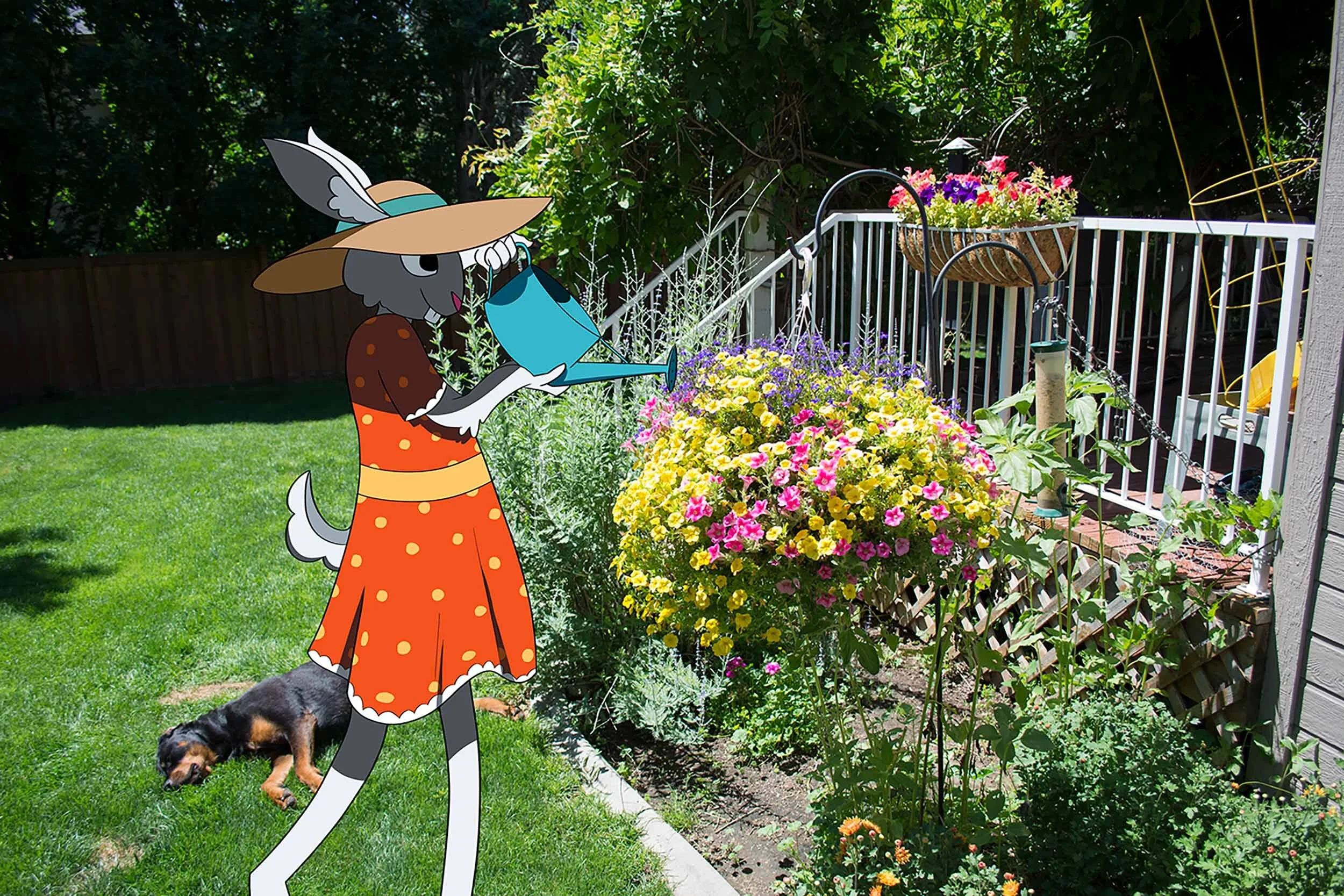 watering-web.jpg