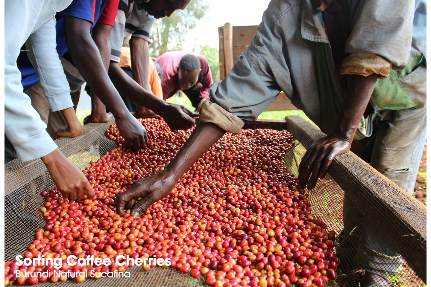 Burundi Natural.png