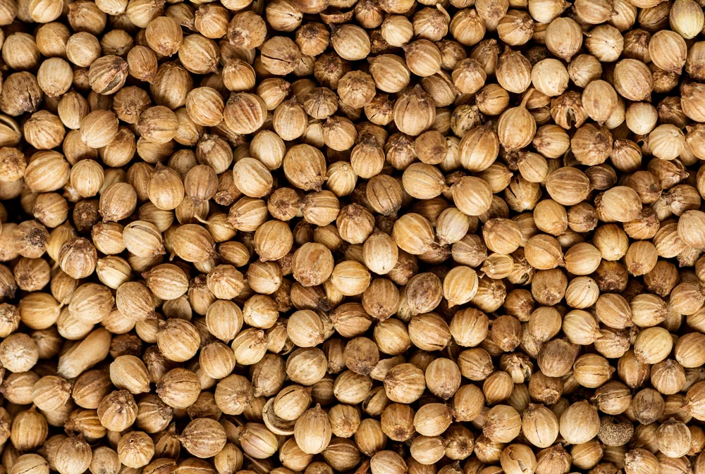 Coriander Seed