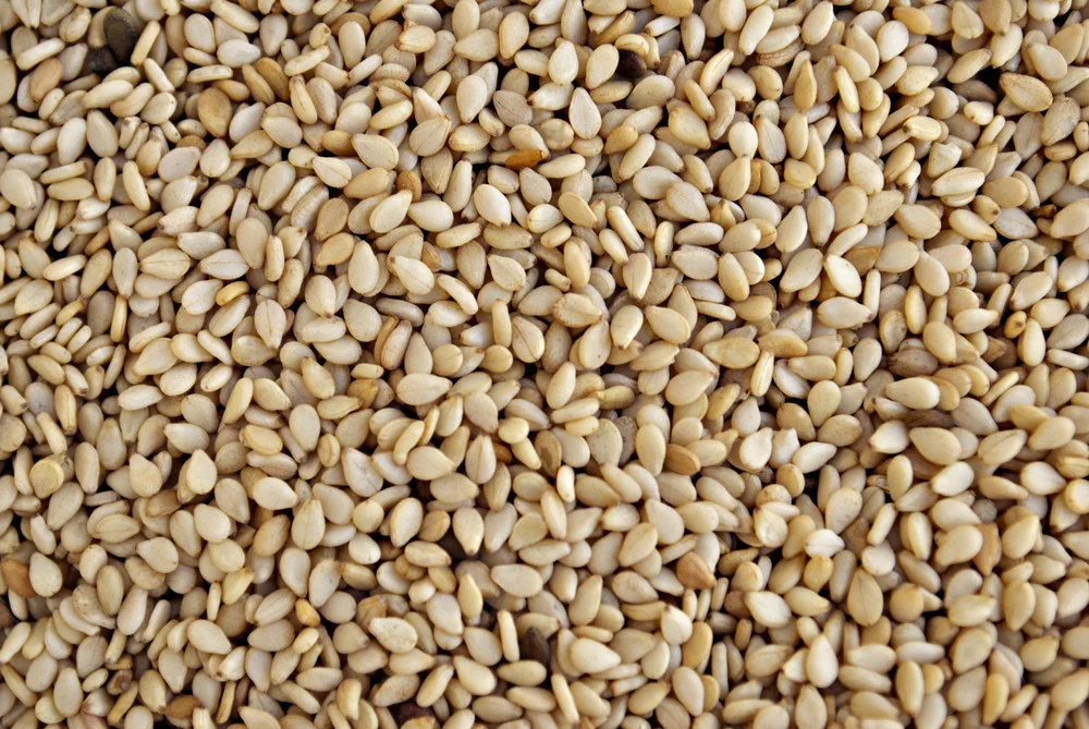 Sesame Seed (Toasted)