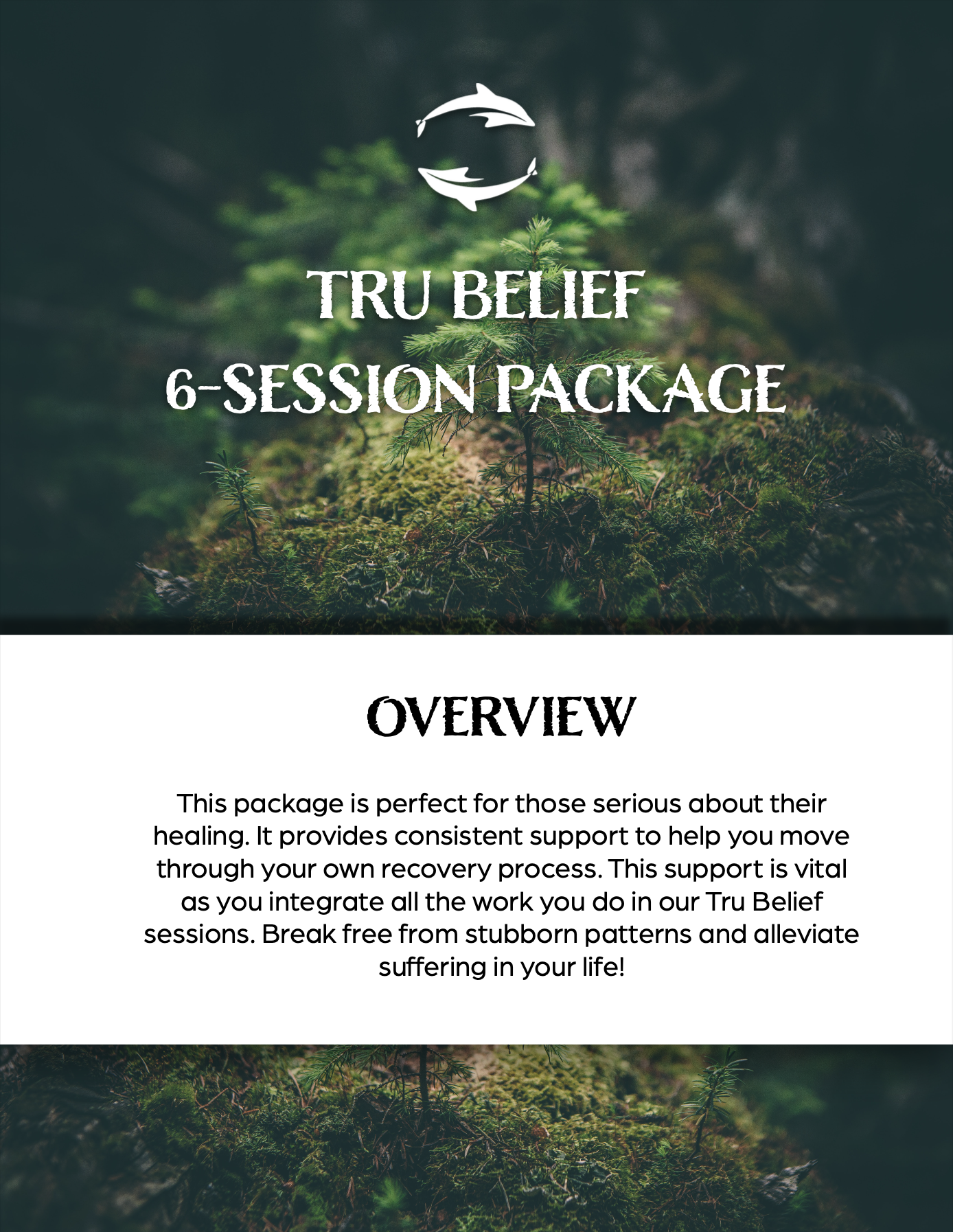 Tru-Belief-Package-6-Session-Photo.png