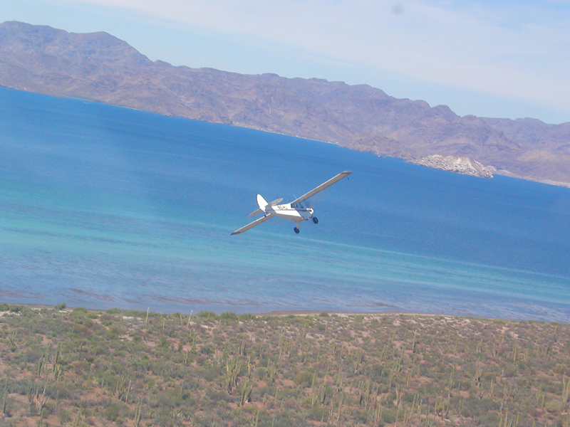 aviat husky over beach